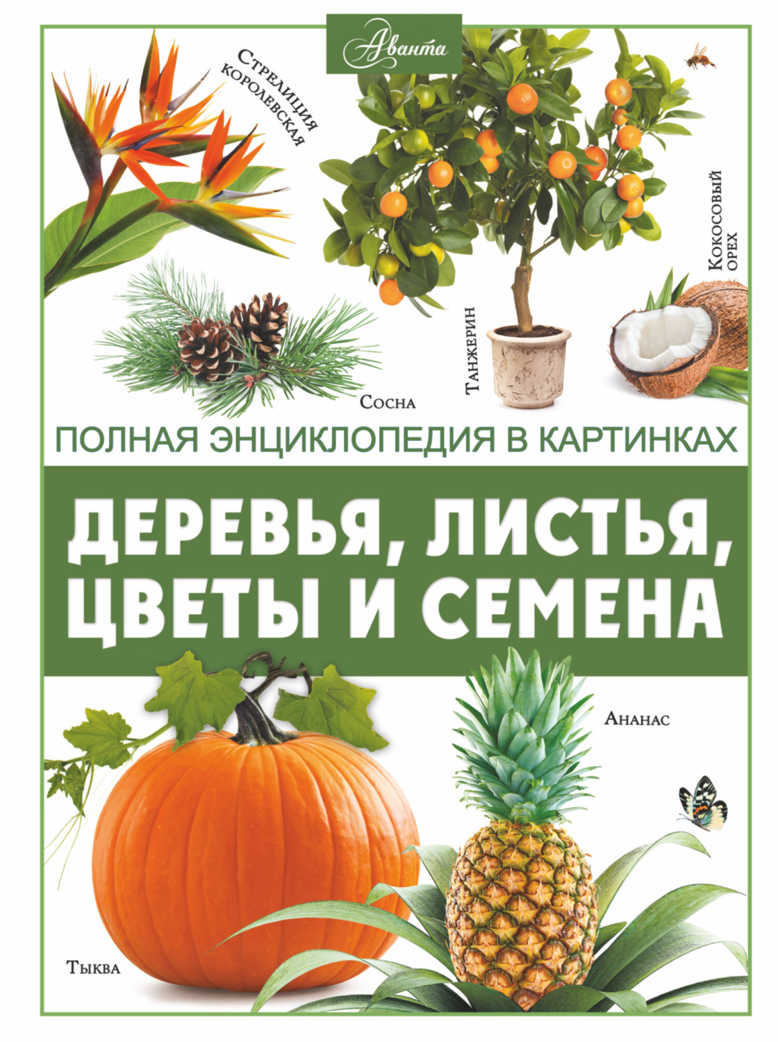 Обложка книги «Деревья, листья, цветы и семена»