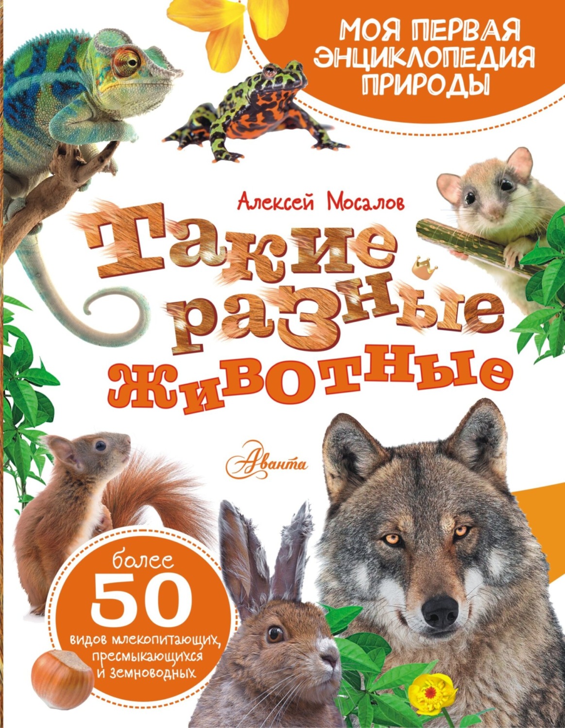 Обложка книги «Такие разные животные»
