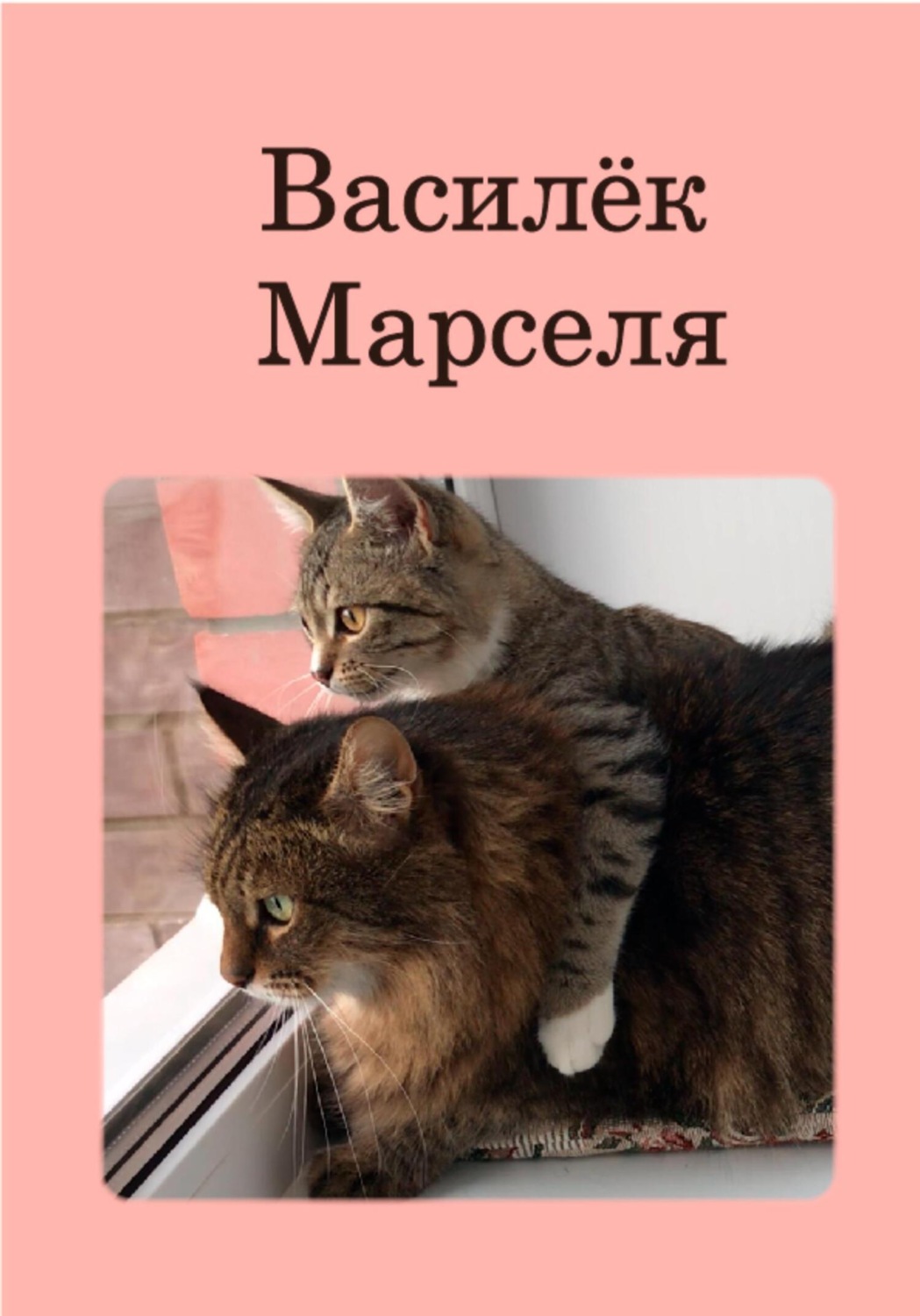 Обложка книги «Василёк Марселя»