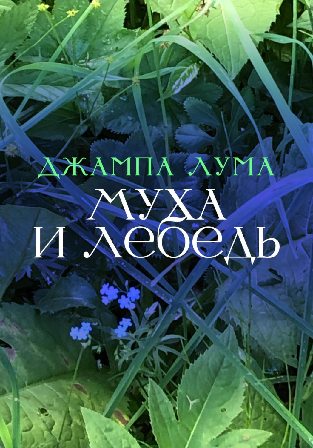 Обложка книги «Муха и Лебедь»