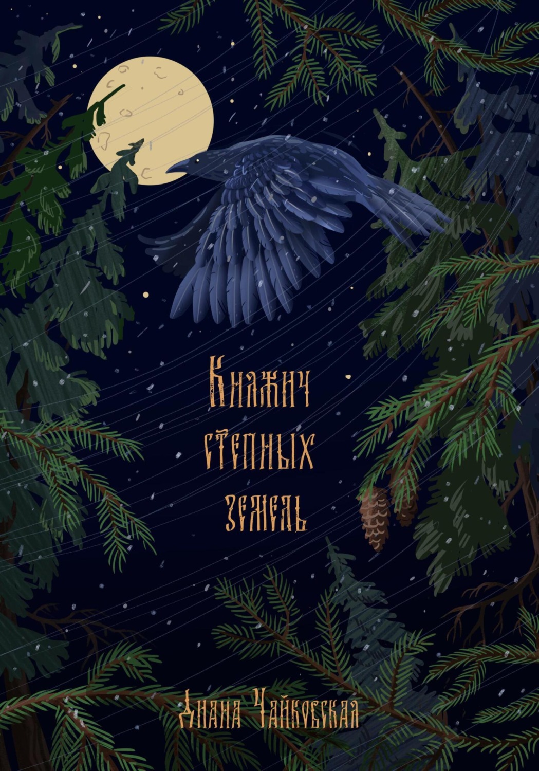 Обложка книги «Княжич степных земель»