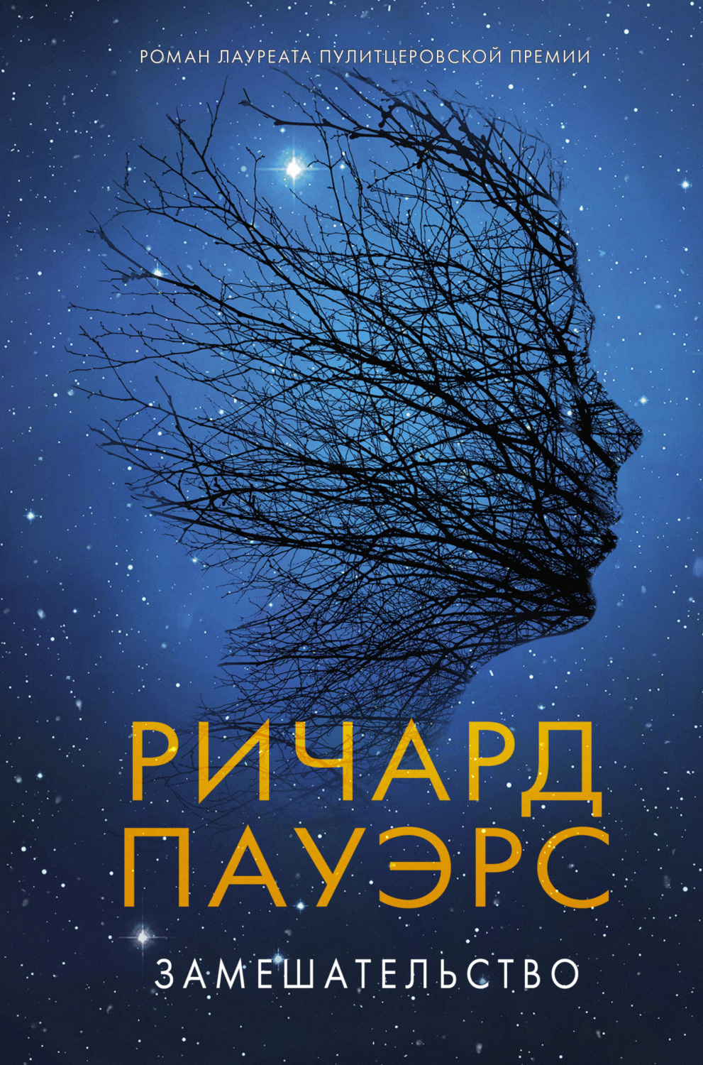 Обложка книги «Замешательство»