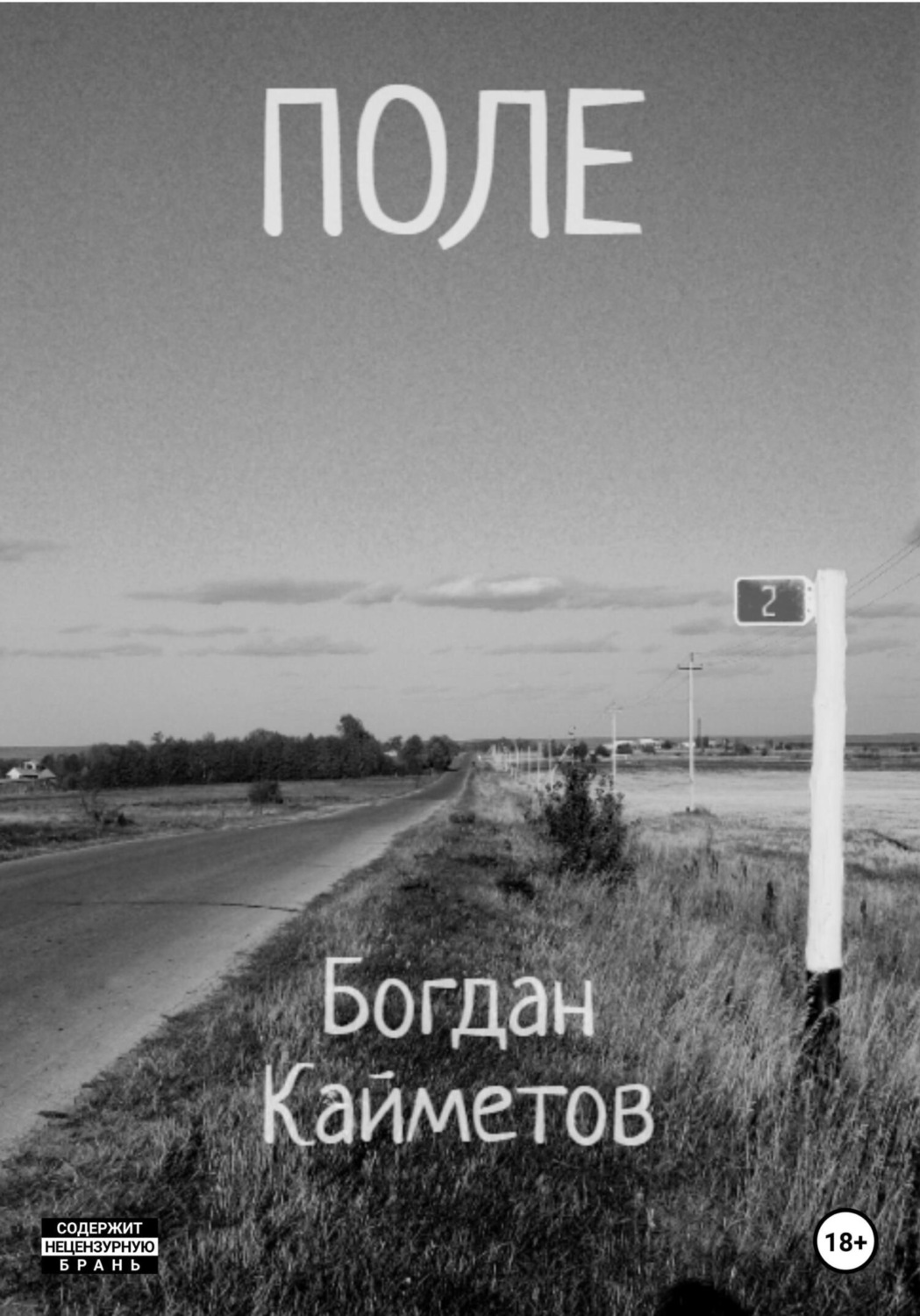 Обложка книги «Поле»