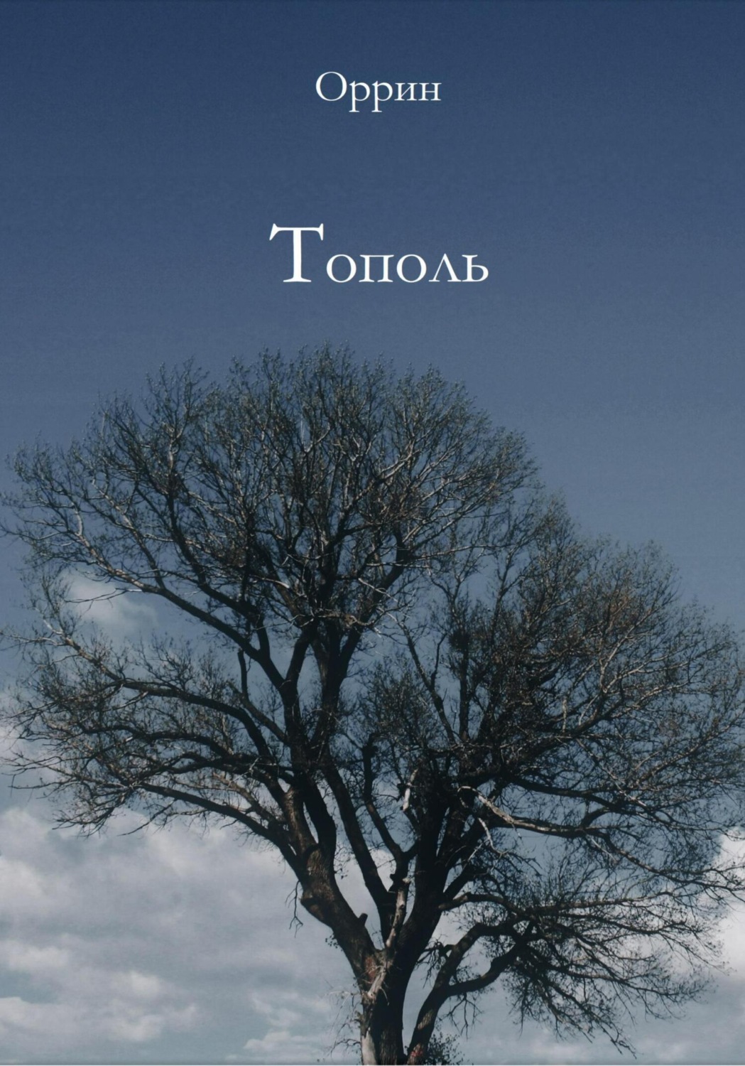 Обложка книги «Тополь»