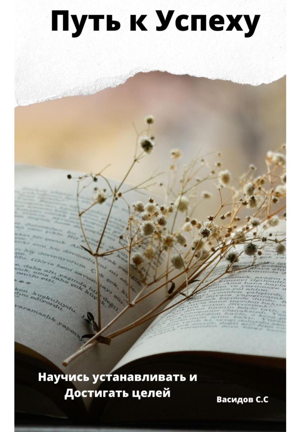 Обложка книги «Путь к Успеху»