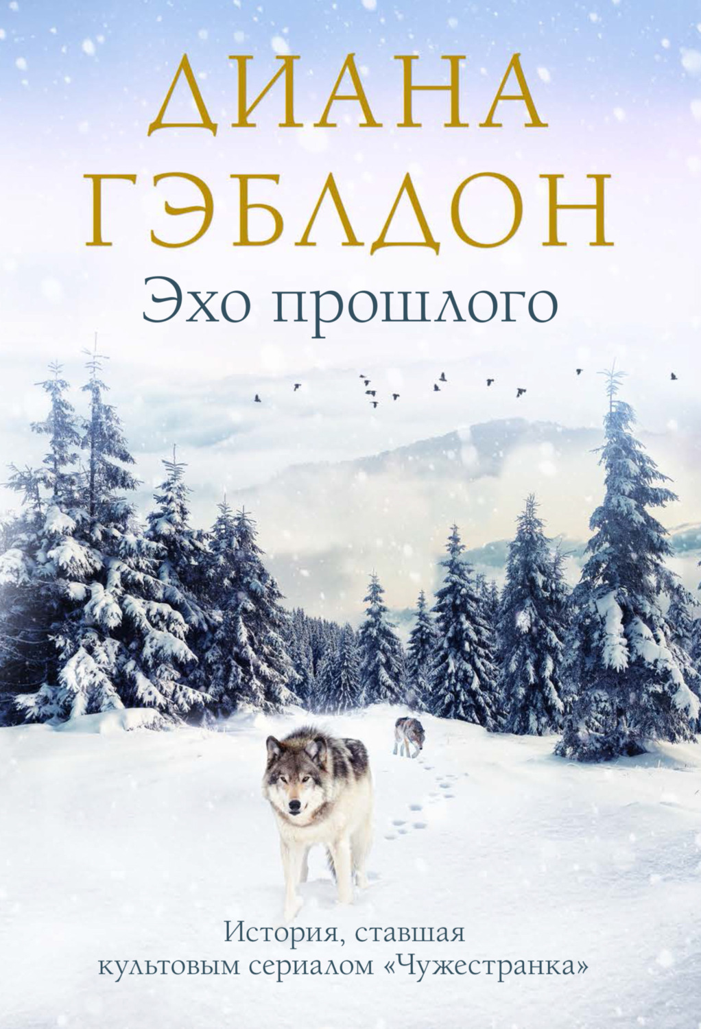 Обложка книги «Эхо прошлого»