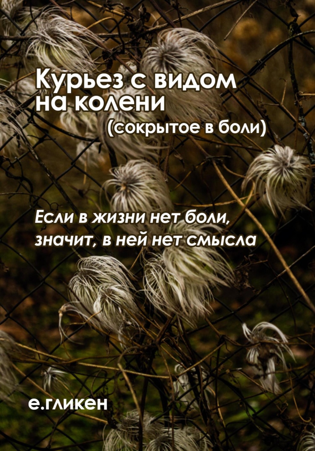 Обложка книги «Курьез с видом на колени (сокрытое в боли)»