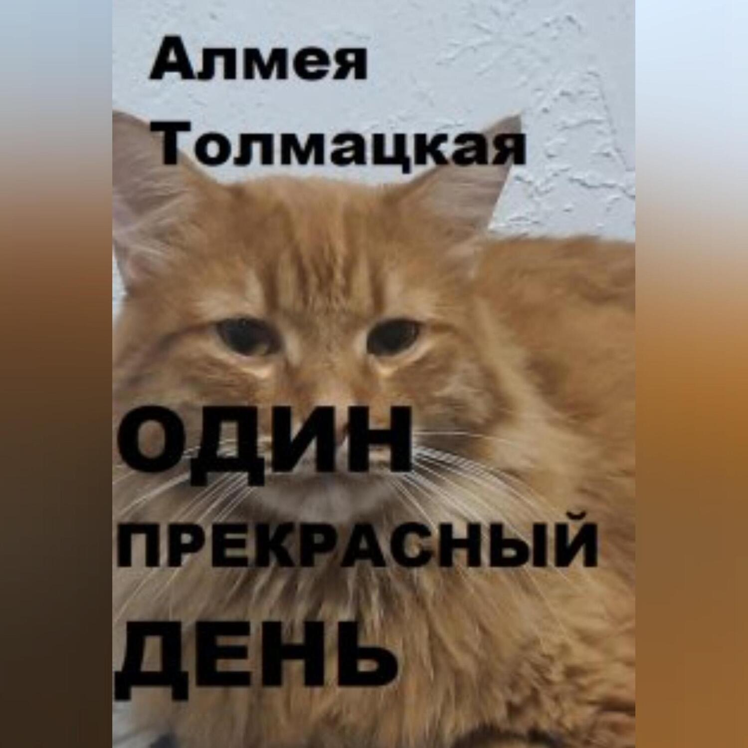 Обложка книги «Один прекрасный день»