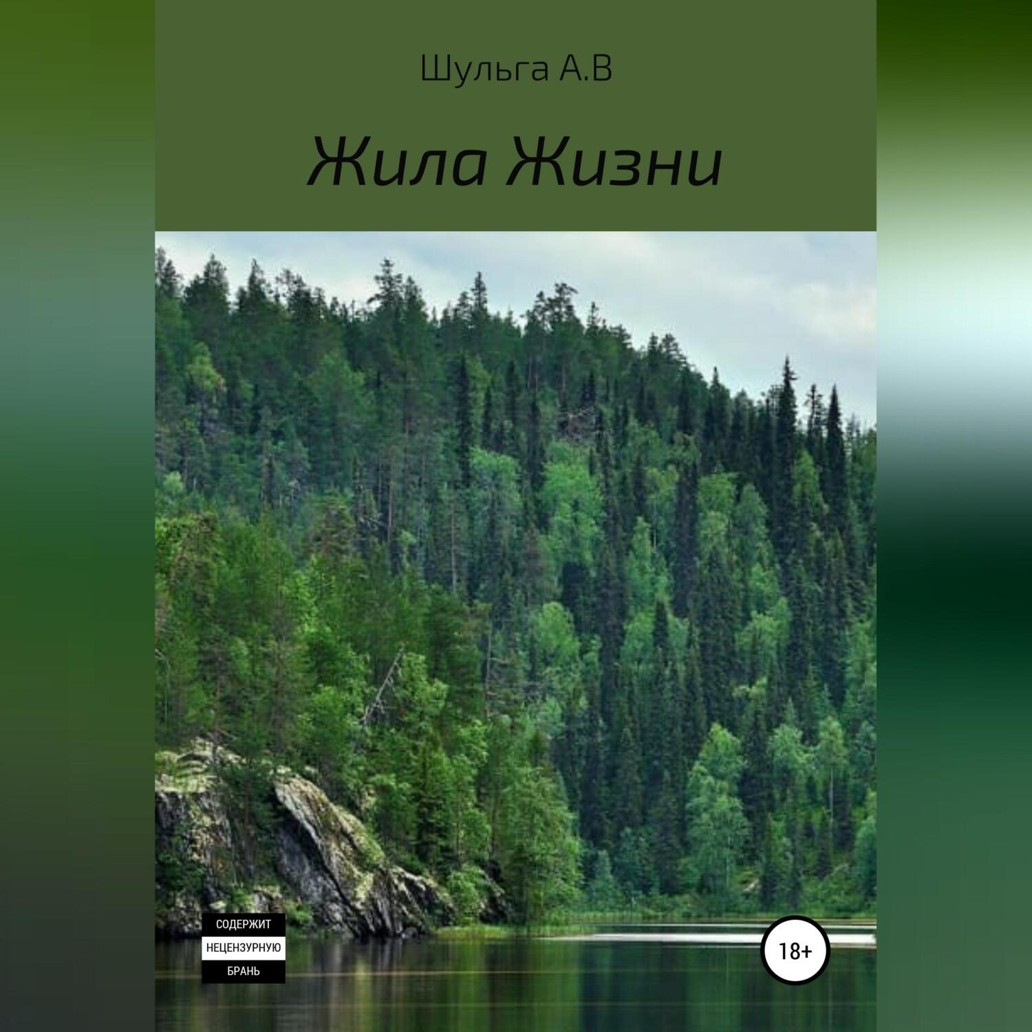 Обложка книги «Жила Жизни»