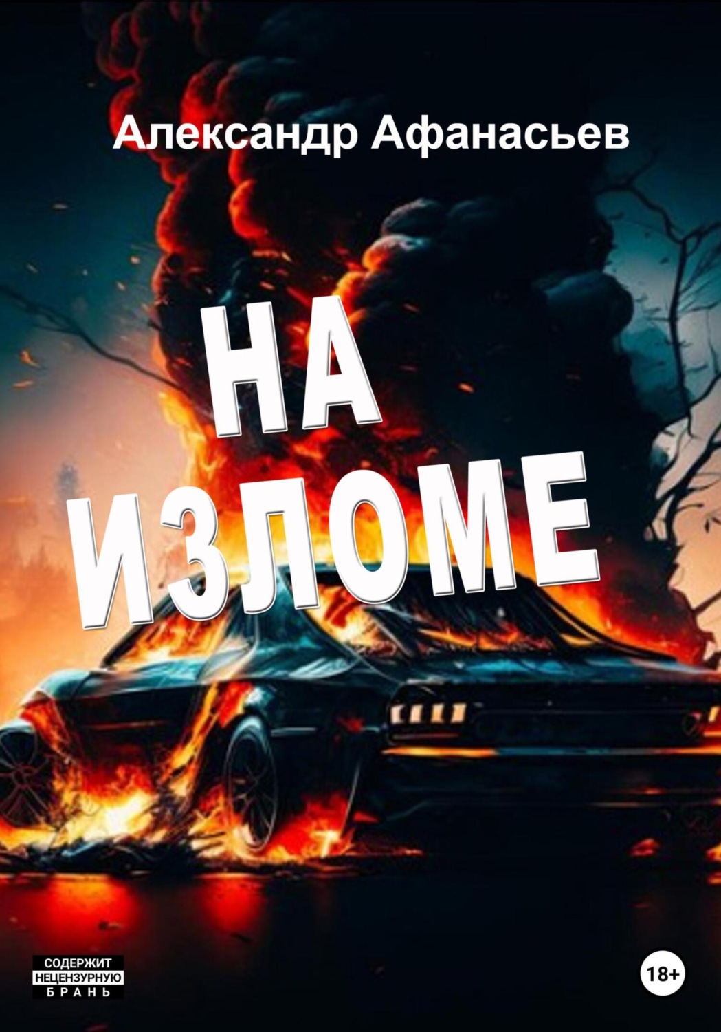 Обложка книги «На изломе»