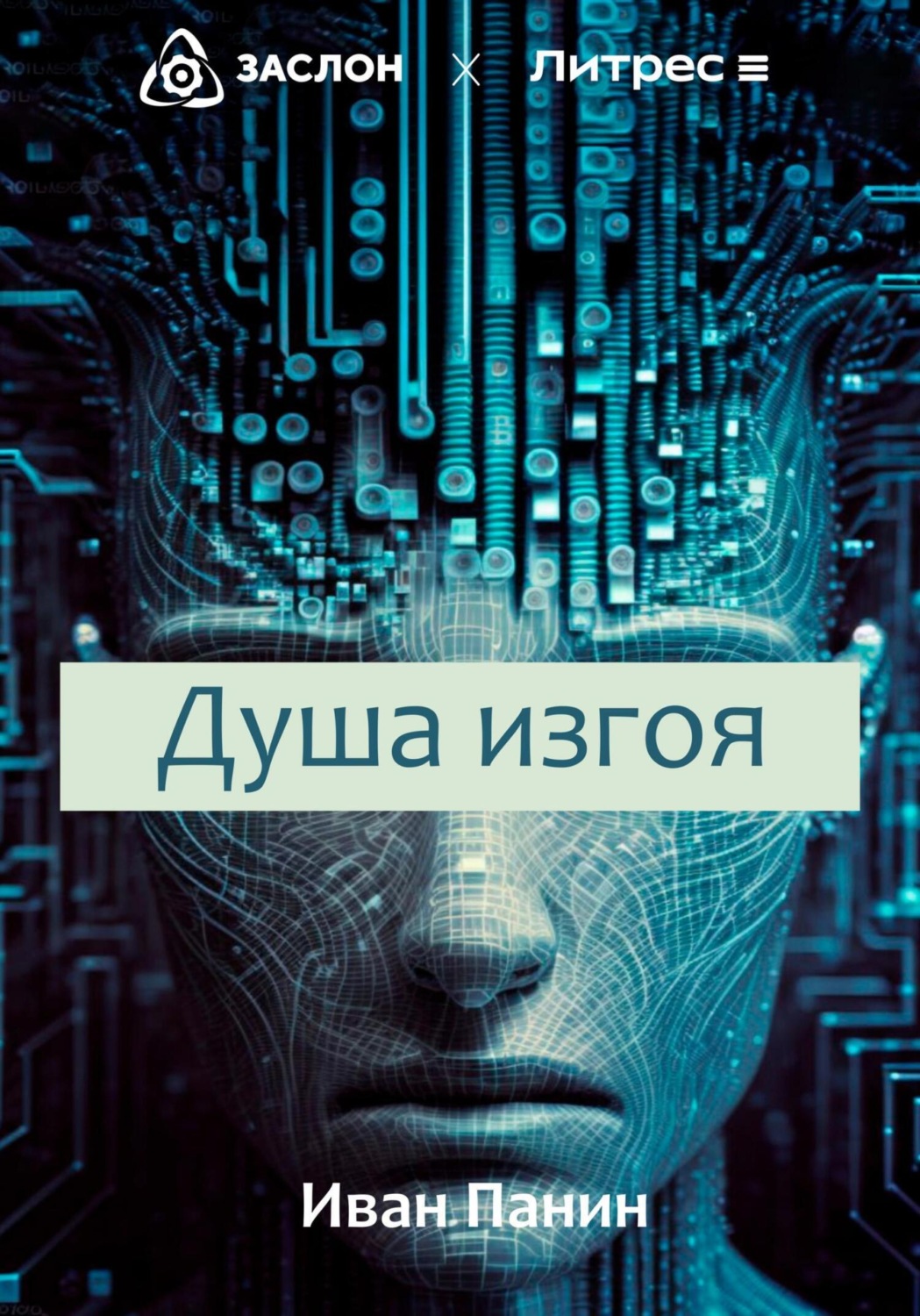 Обложка книги «Душа изгоя»