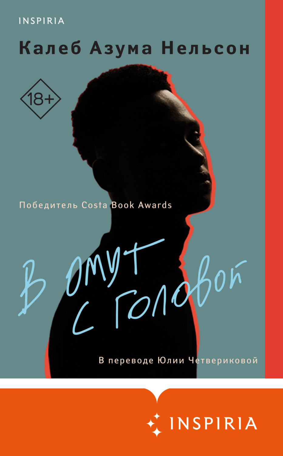 Обложка книги «В омут с головой»