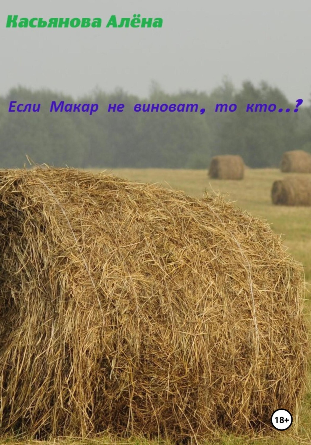 Обложка книги «Если Макар не виноват, то кто..?»