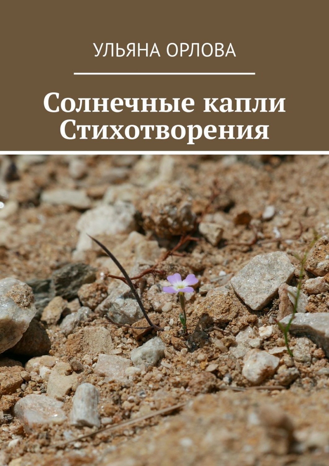 Обложка книги «Солнечные капли. Стихотворения»