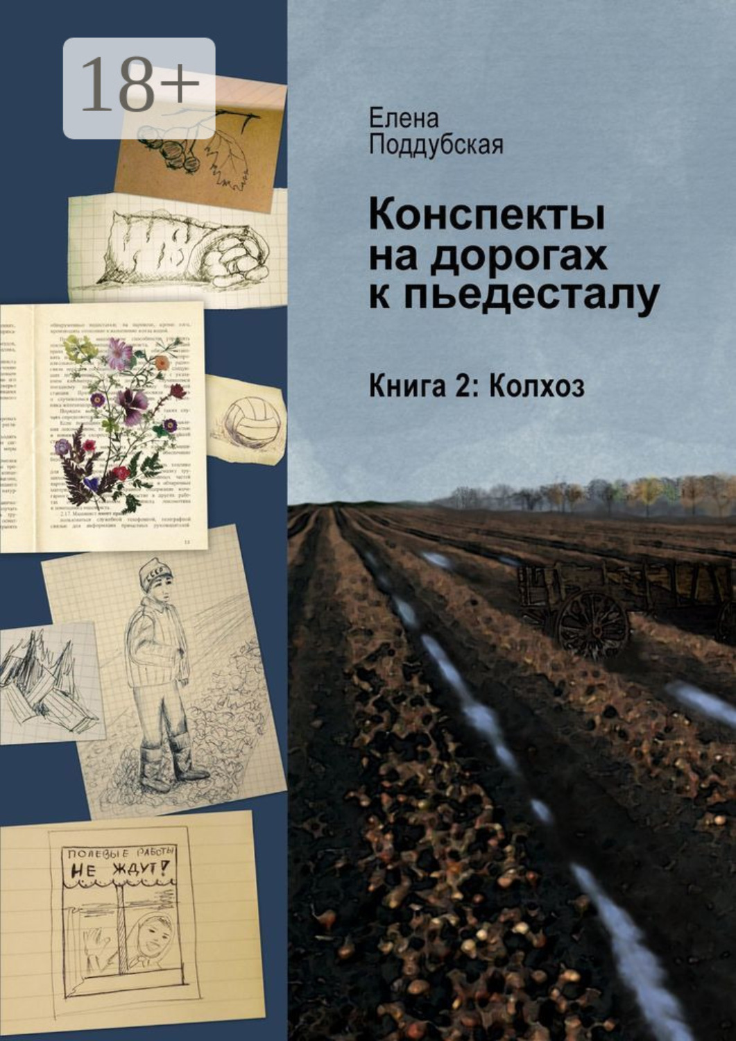 Обложка книги «Конспекты на дорогах к пьедесталу. Книга 2. Колхоз»