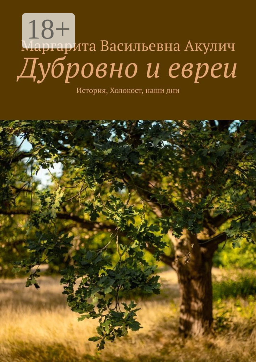 Обложка книги «Дубровно и евреи. История, Холокост, наши дни»