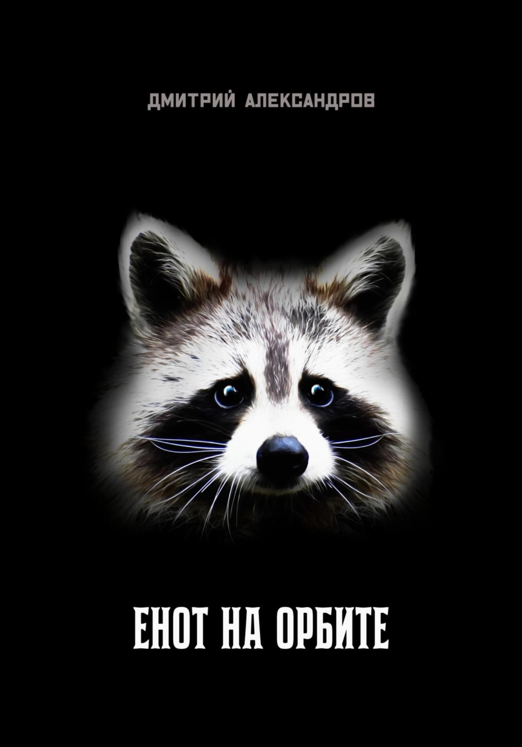 Обложка книги «Енот на орбите»