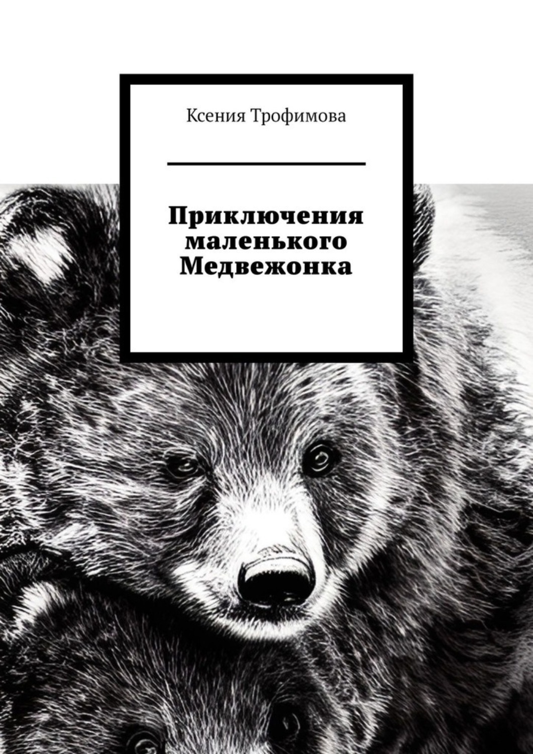 Обложка книги «Приключения маленького медвежонка»
