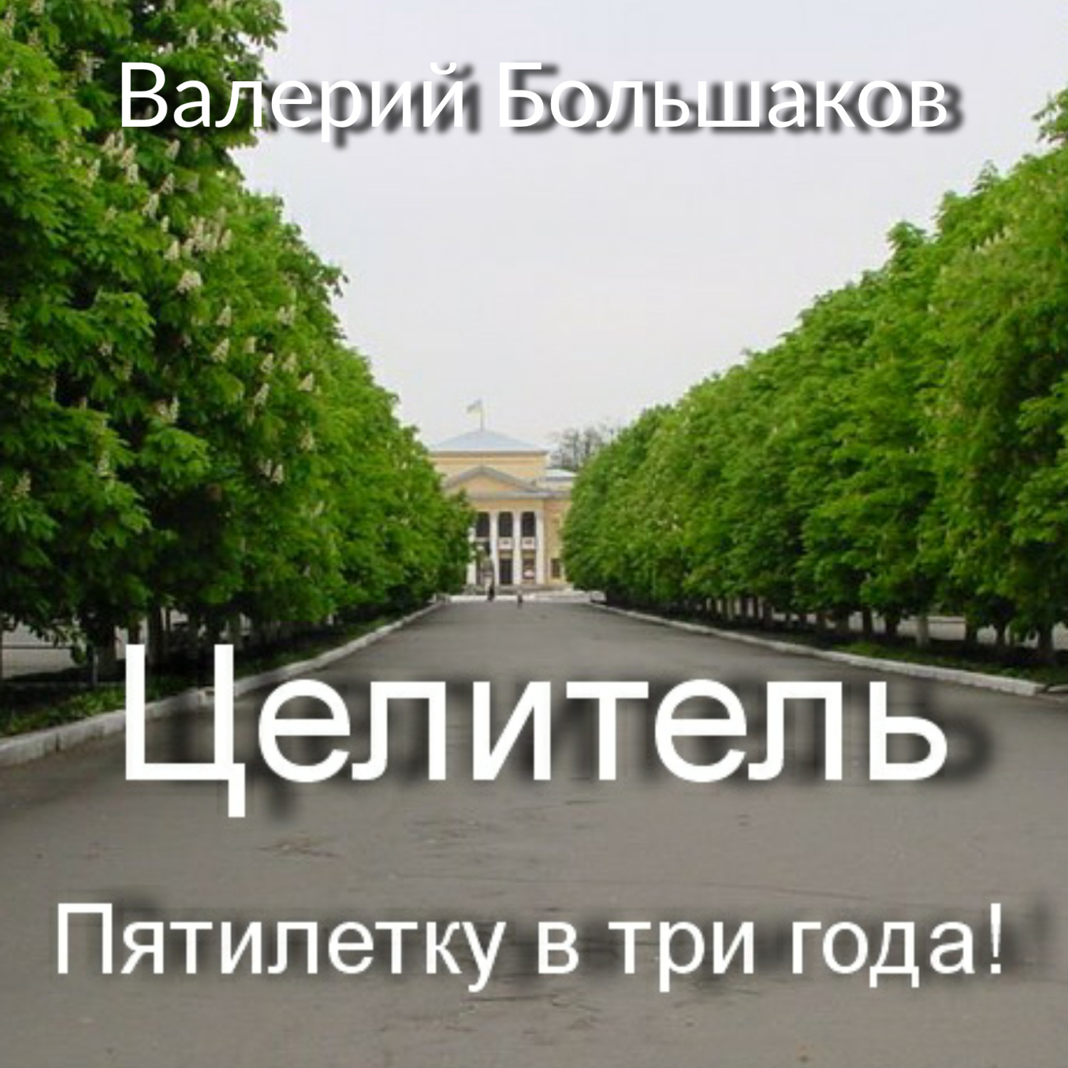 Обложка книги «Целитель. Пятилетку в три года!»