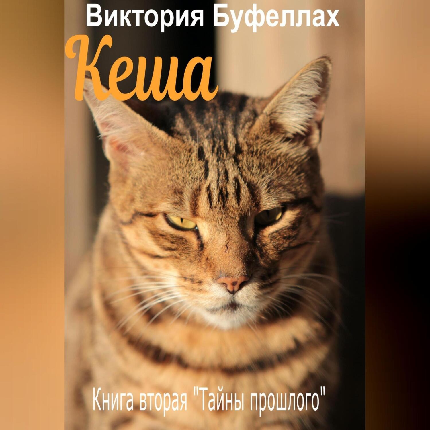 Обложка книги «Кеша. Книга вторая «Тайны прошлого»»