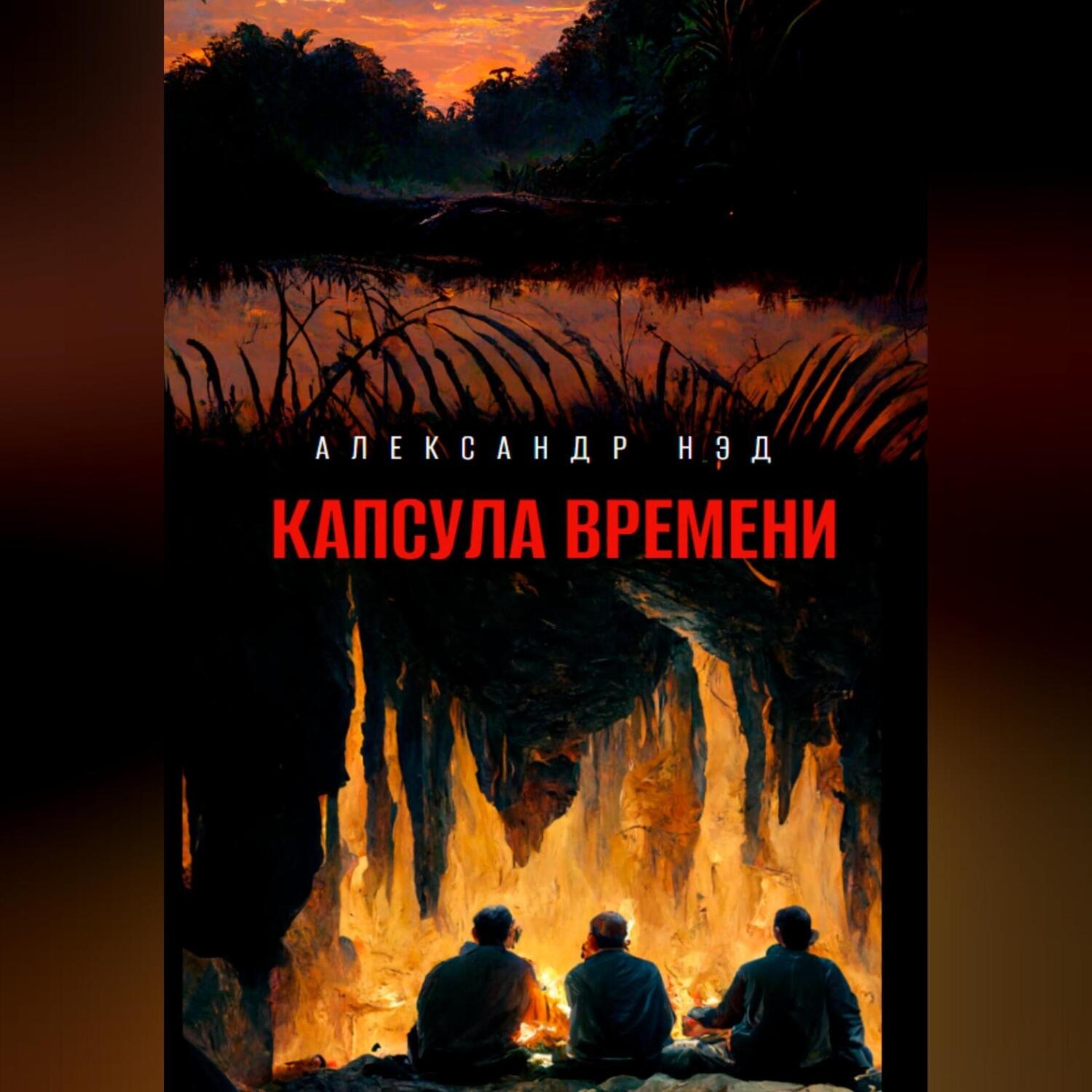 Обложка книги «Капсула времени»