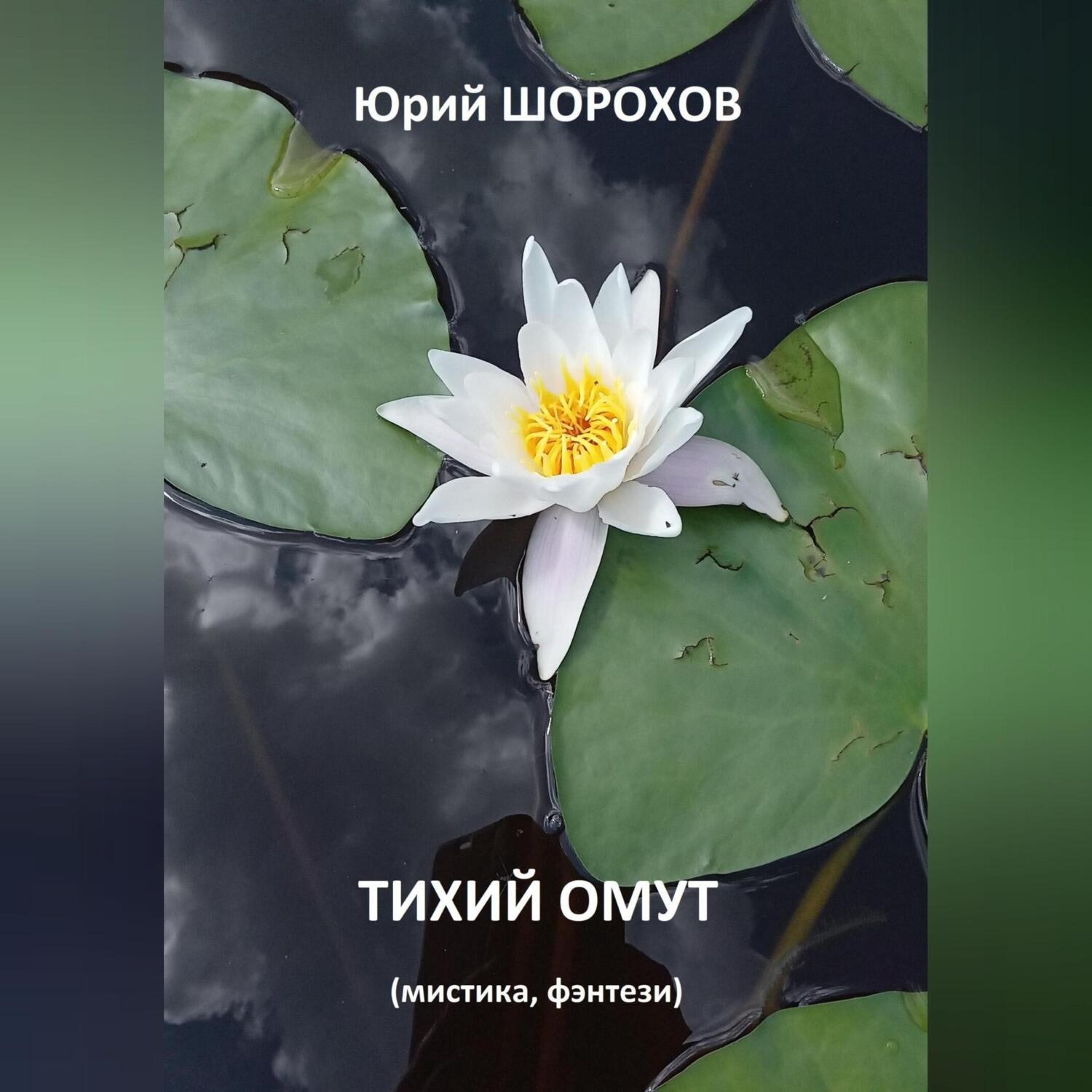 Обложка книги «Тихий омут»
