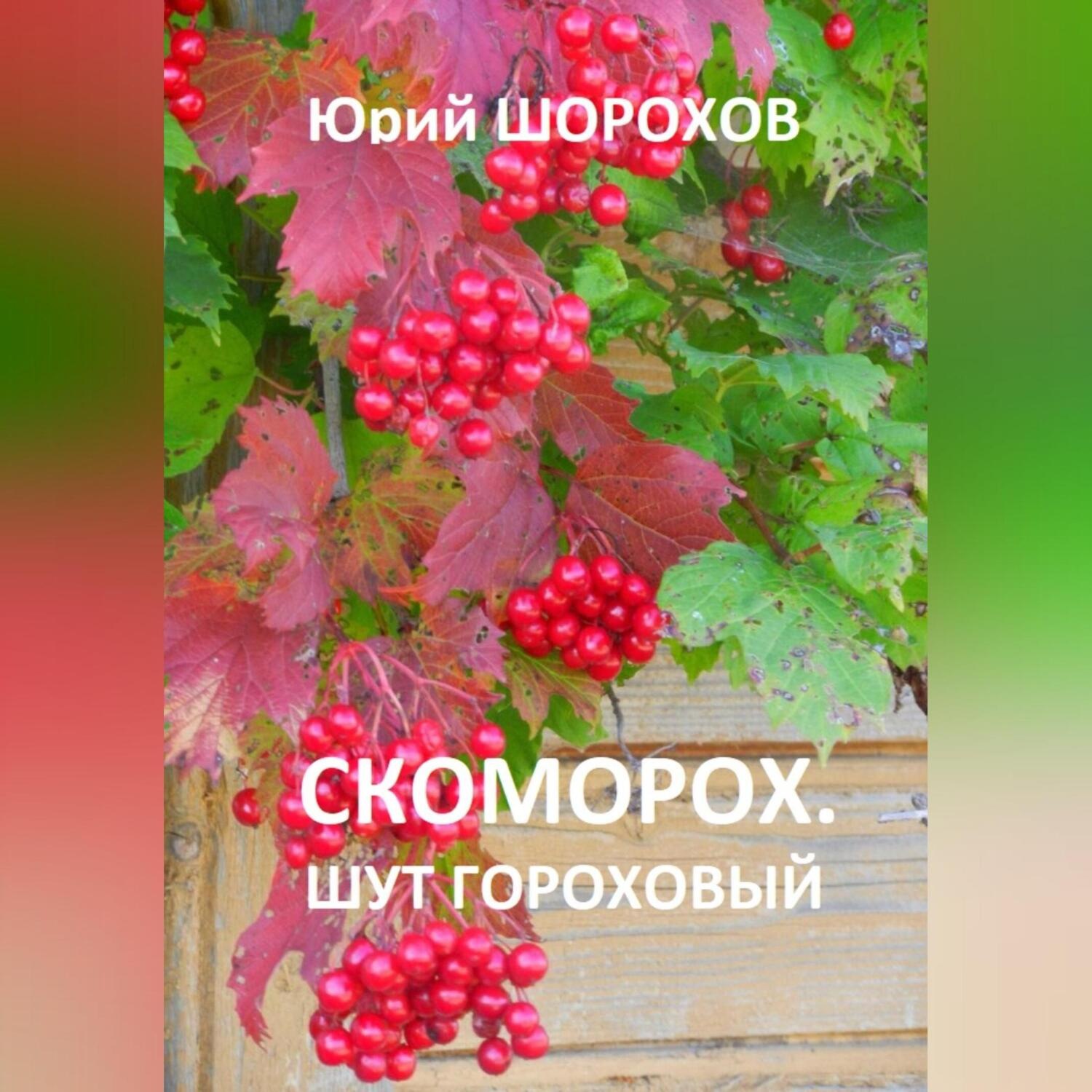 Обложка книги «Скоморох. Шут гороховый»