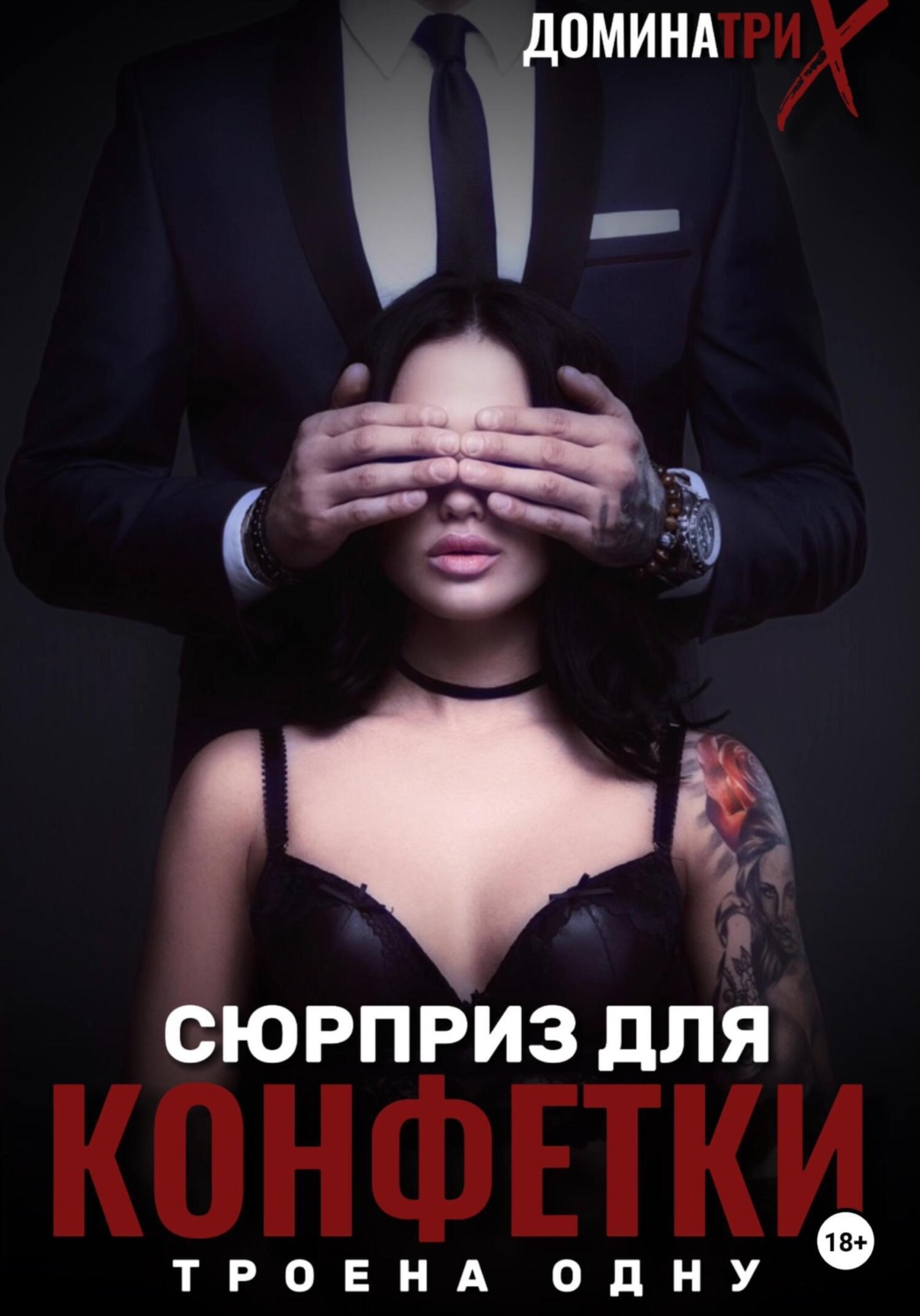 Обложка книги «Сюрприз для конфетки: трое на одну»