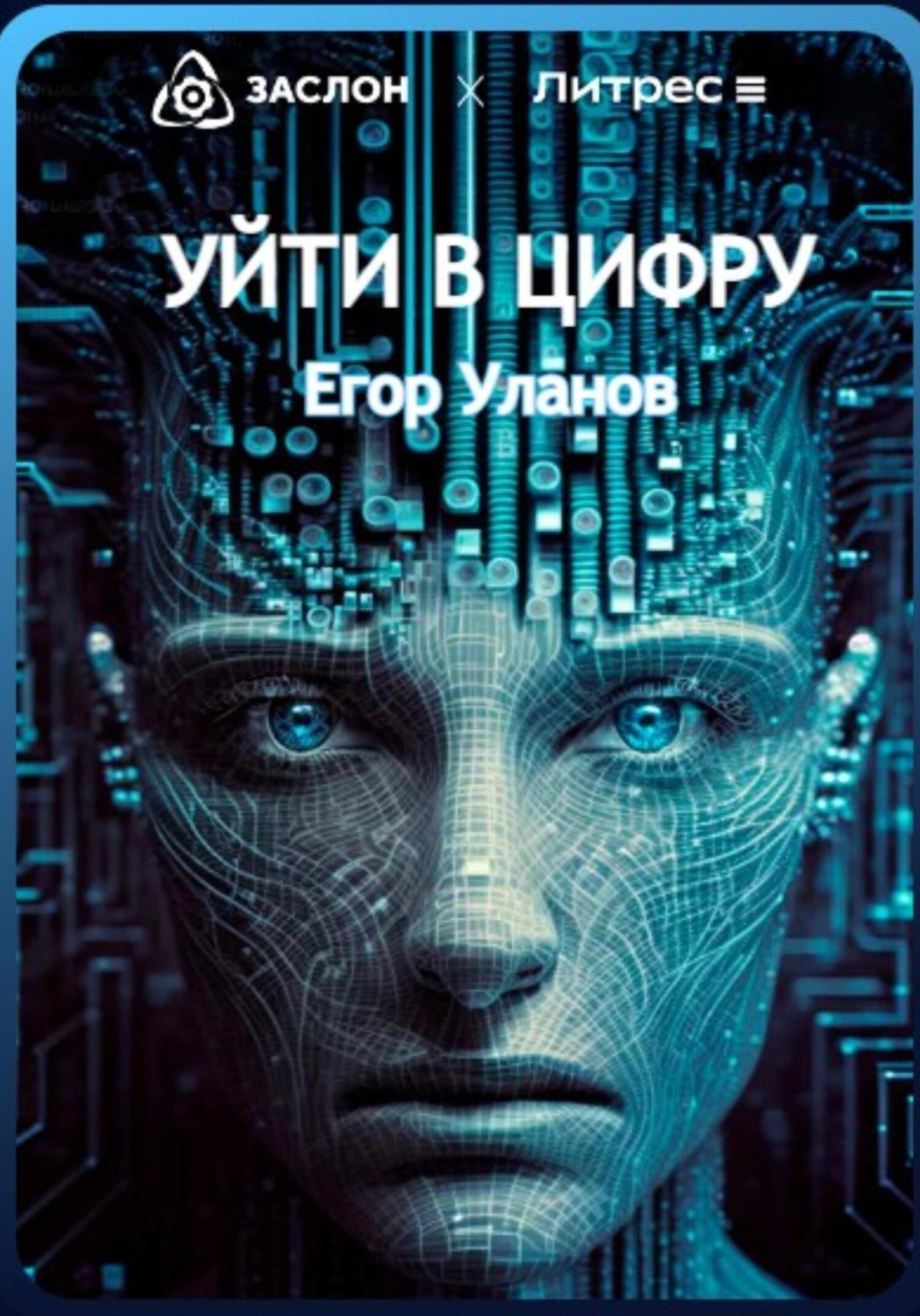 Обложка книги «Уйти в цифру»
