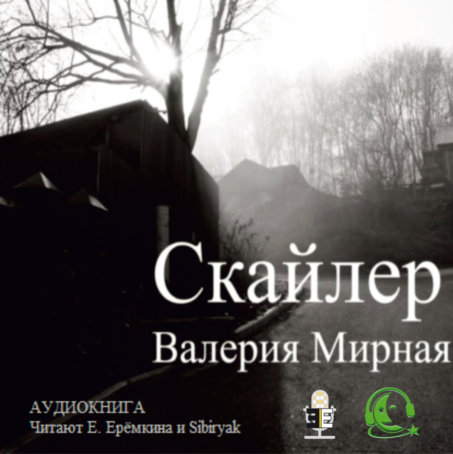 Обложка книги «Скайлер»