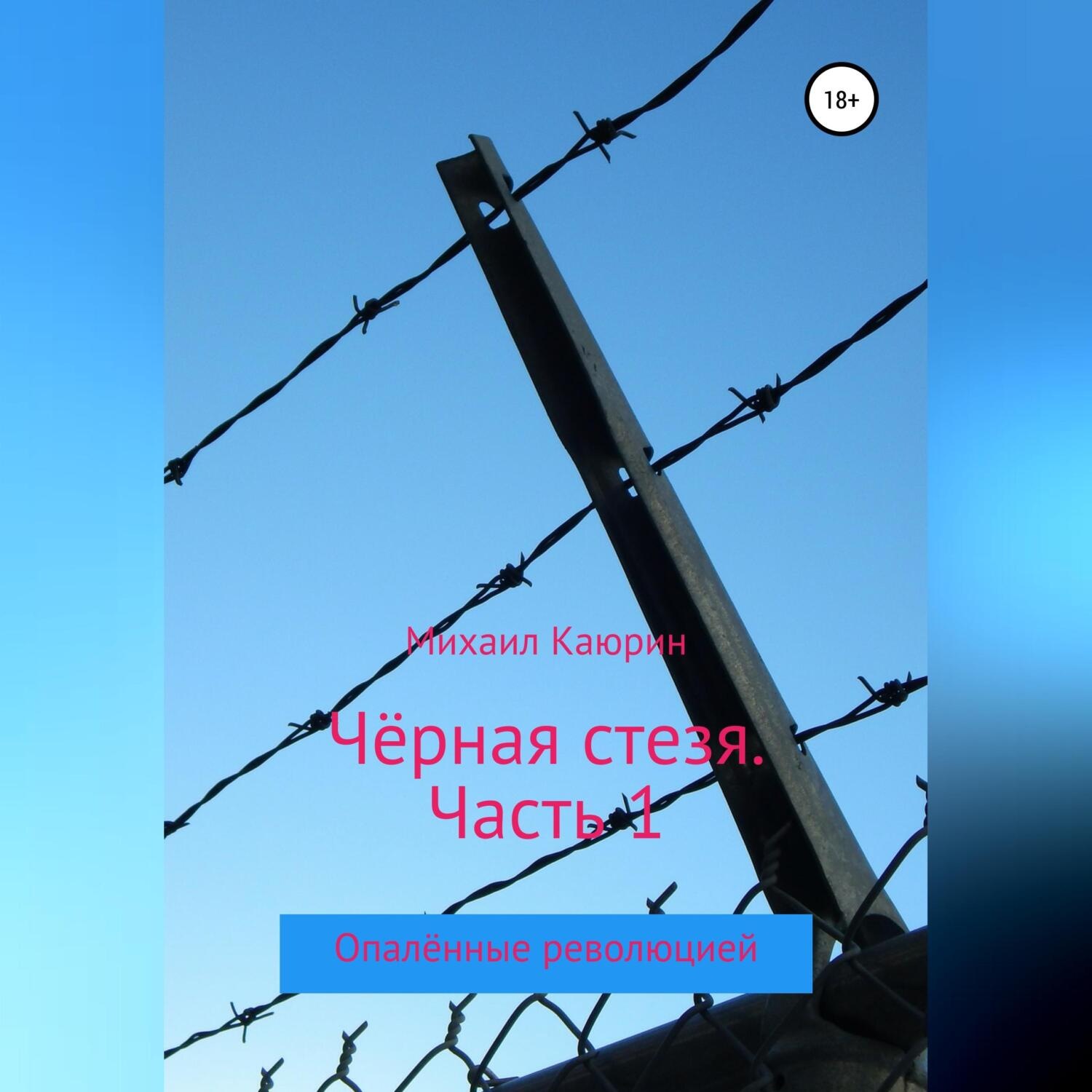 Обложка книги «Чёрная стезя. Часть 1»