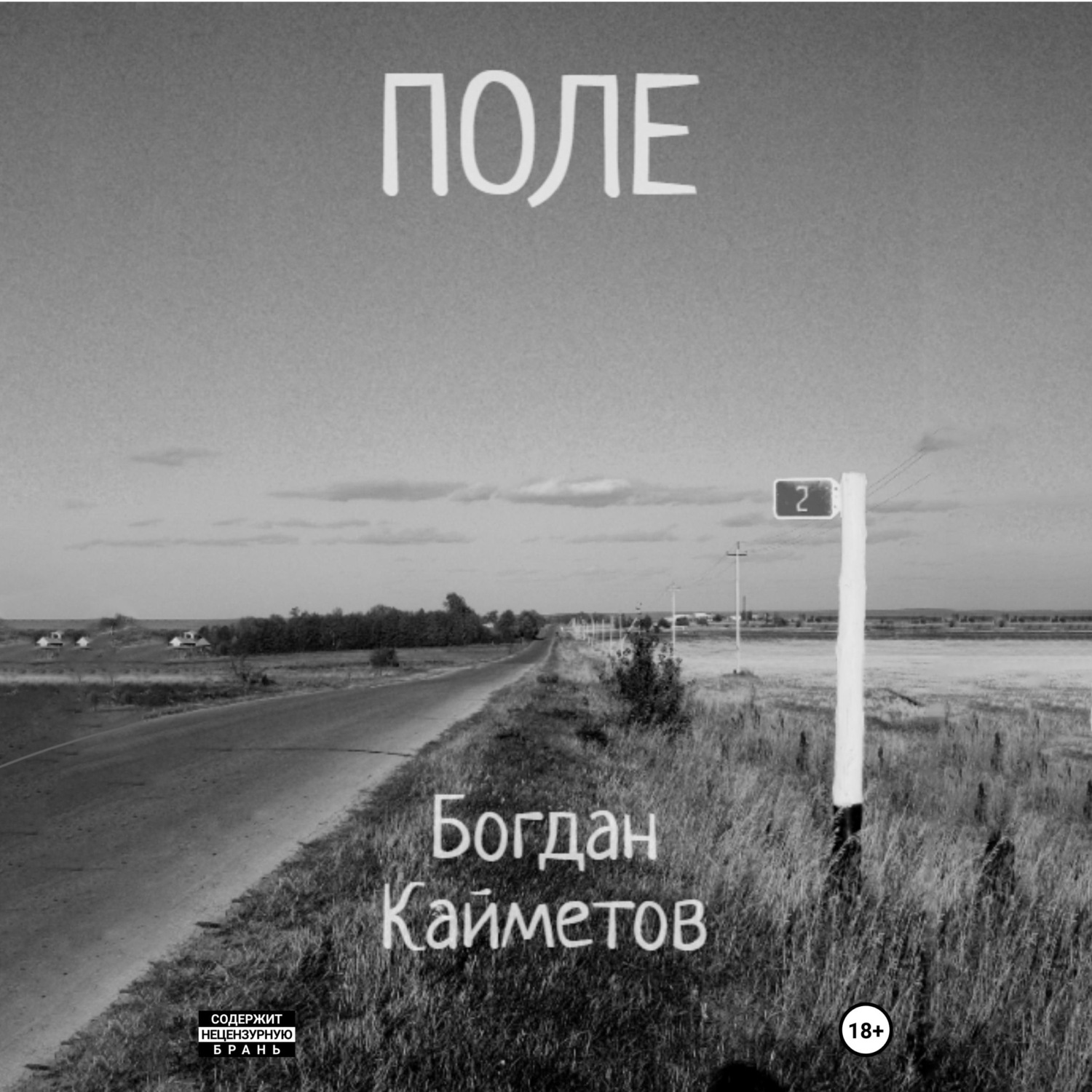 Обложка книги «Поле»