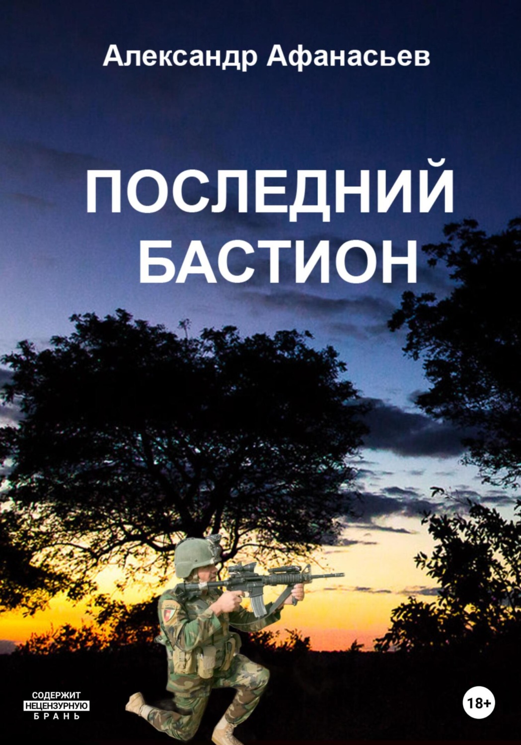 Обложка книги «Последний бастион»