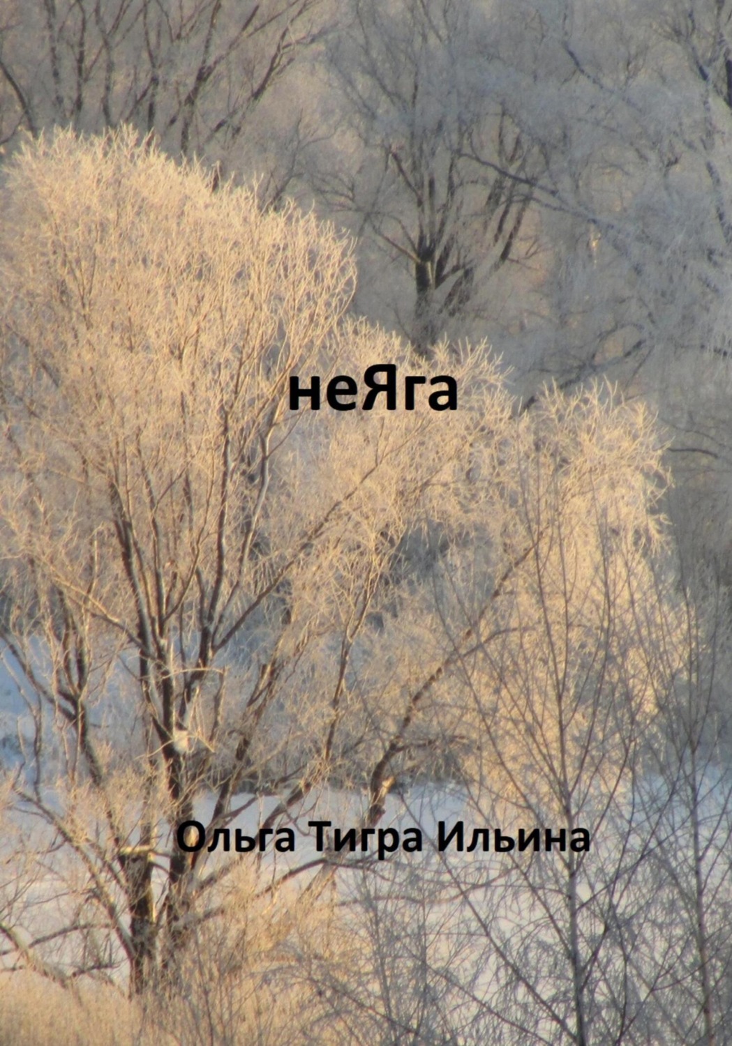 Обложка книги «неЯга»