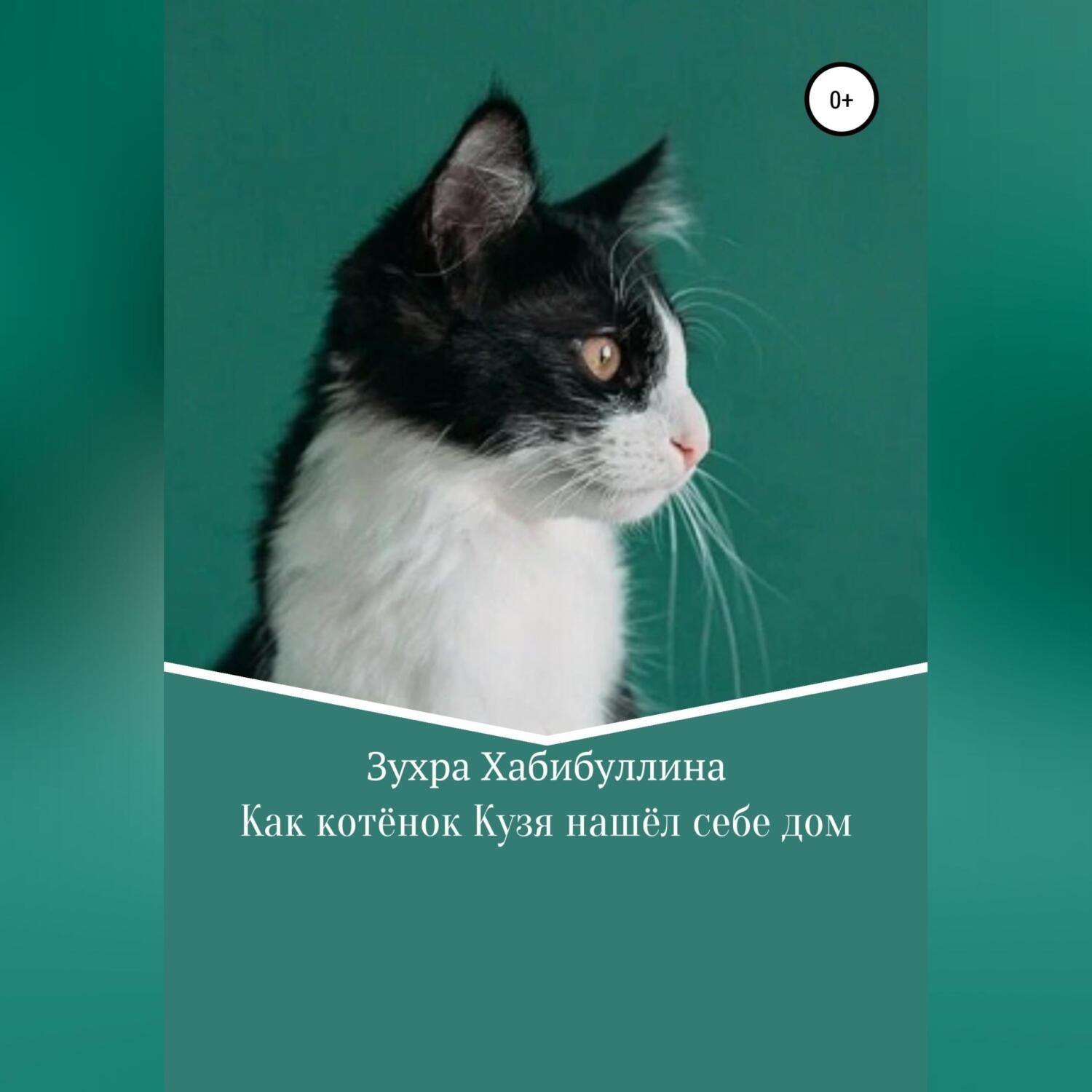 Обложка книги «Как котёнок Кузя нашёл себе дом»