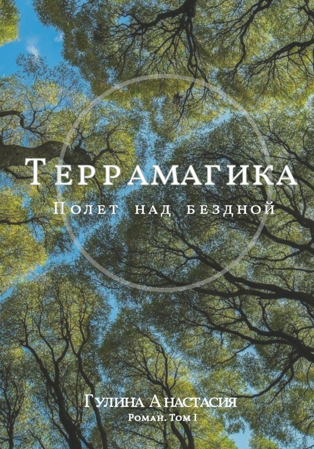 Обложка книги «Террамагика. Полёт над бездной»