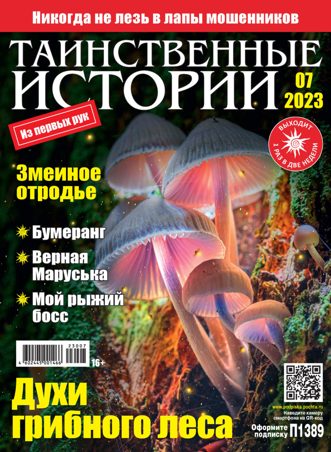 Обложка книги «Таинственные истории №07/2023»