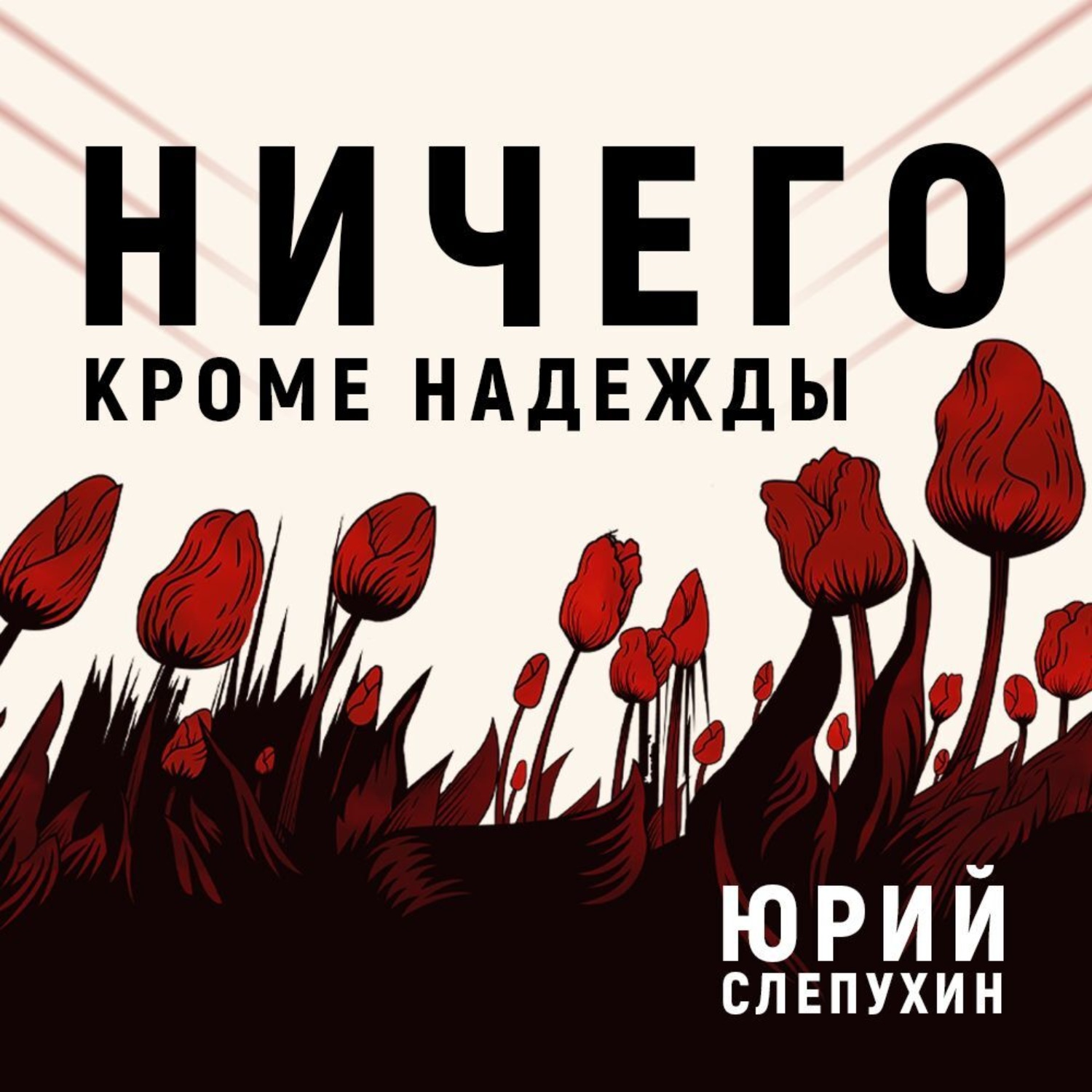 Обложка книги «Ничего кроме надежды»