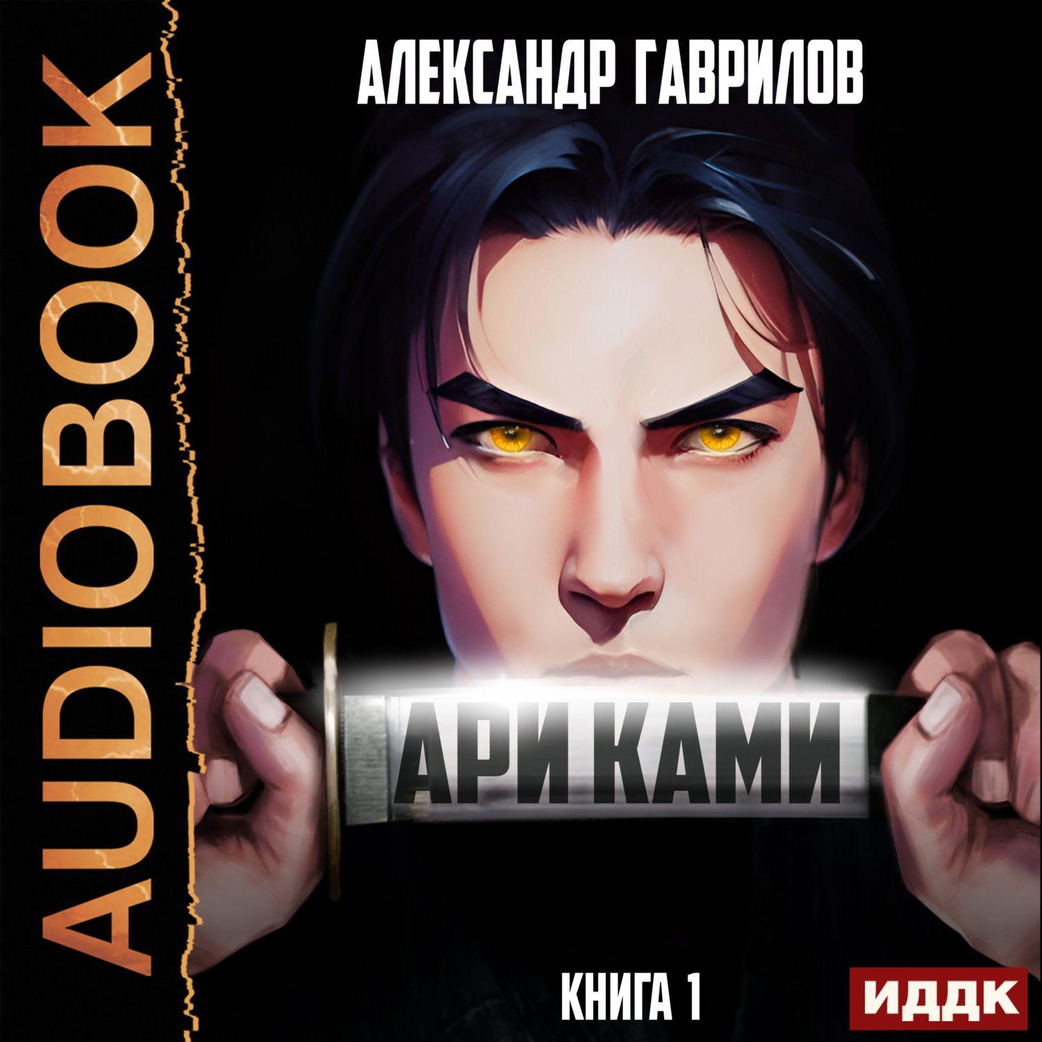 Обложка книги «Ари Ками. Книга 1»