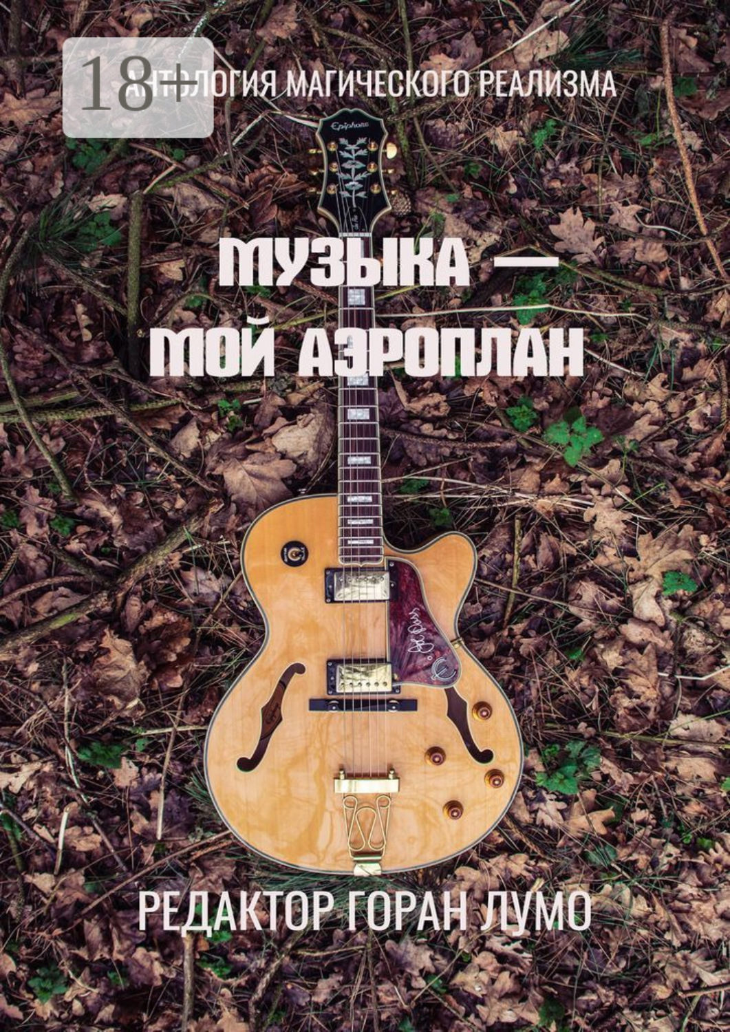Обложка книги «Музыка – мой аэроплан. Антология магического реализма»