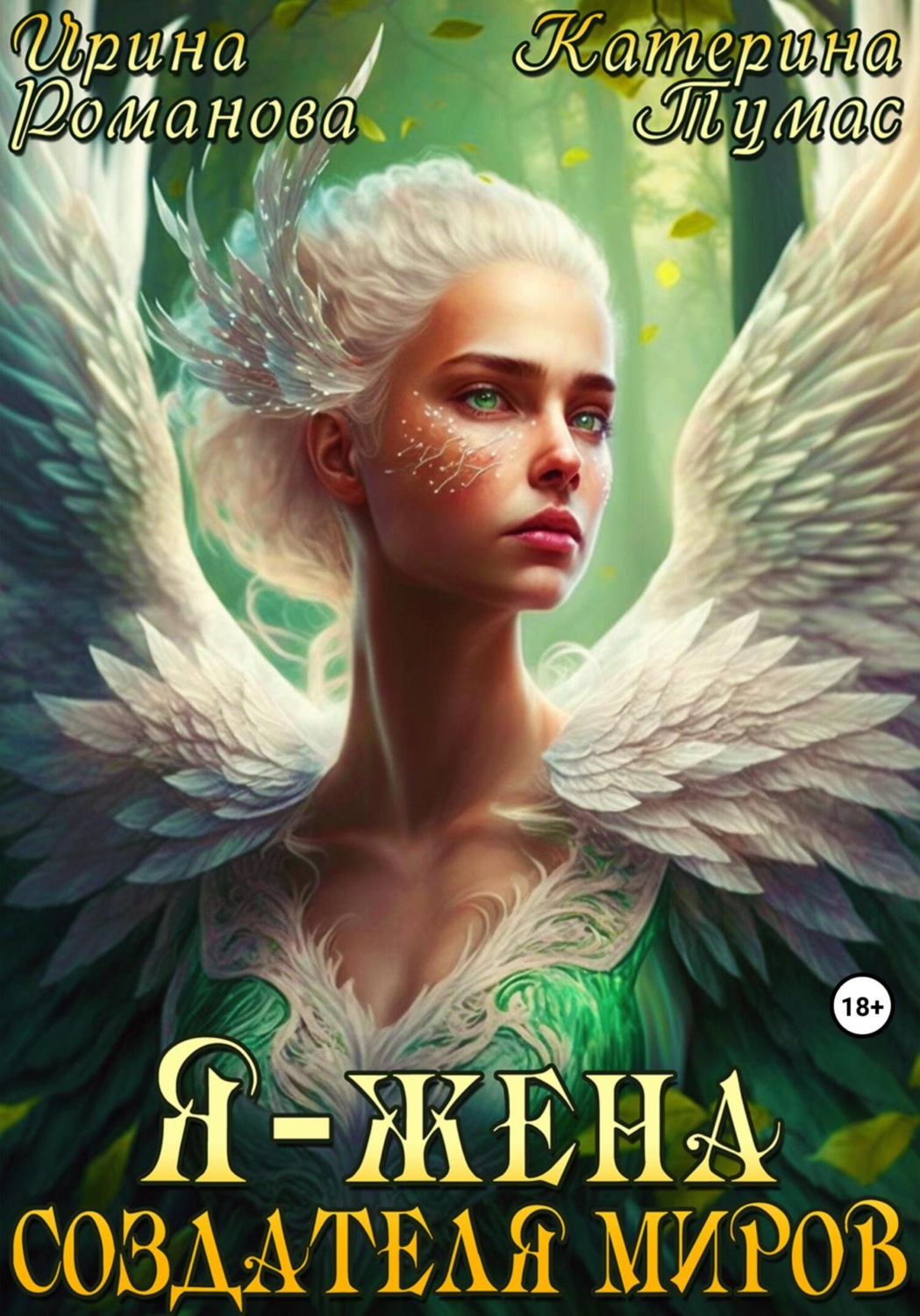Обложка книги «Я – жена создателя миров»