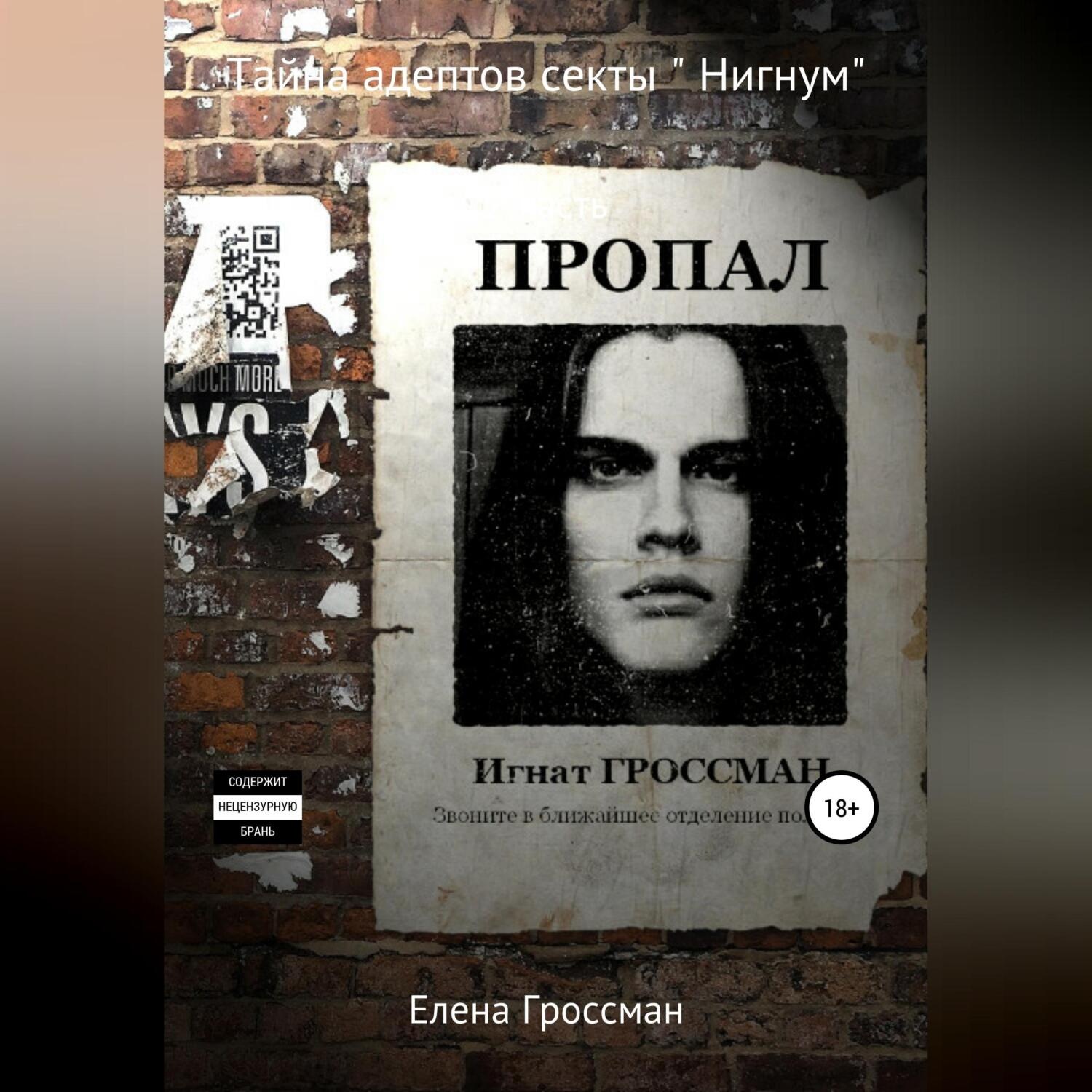 Обложка книги «Тайна адептов секты «Нигнум». Часть 2»