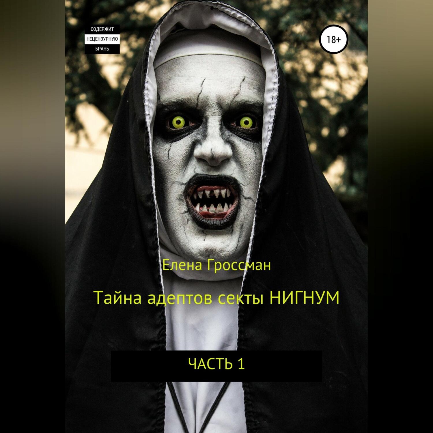Обложка книги «Тайна адептов секты «Нигнум»»