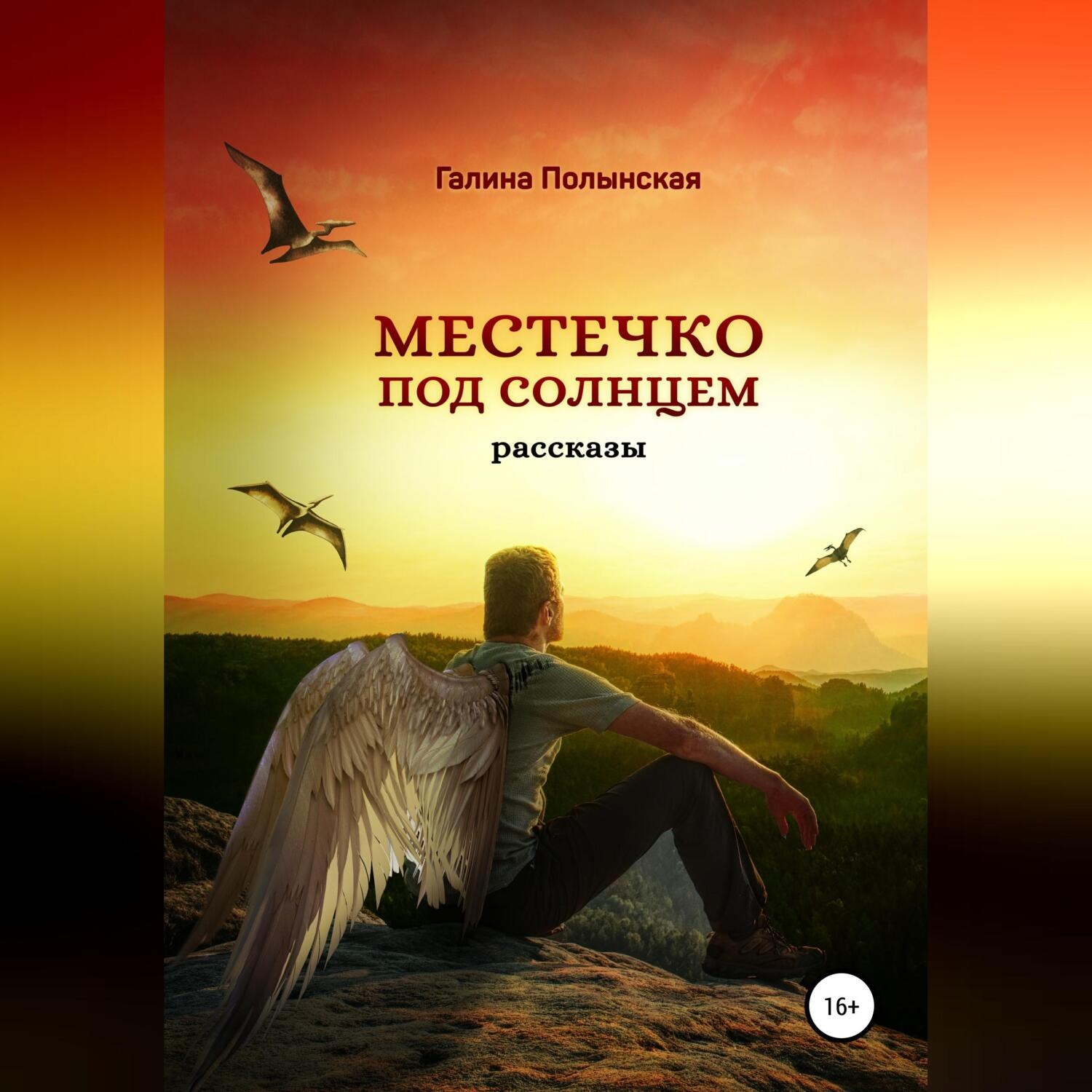 Обложка книги «Местечко под солнцем»