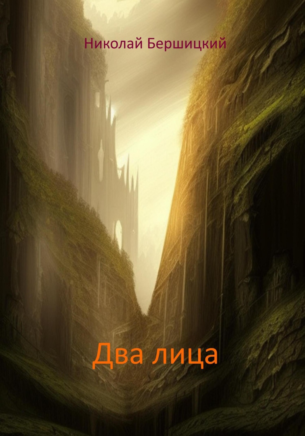 Обложка книги «Два лица»