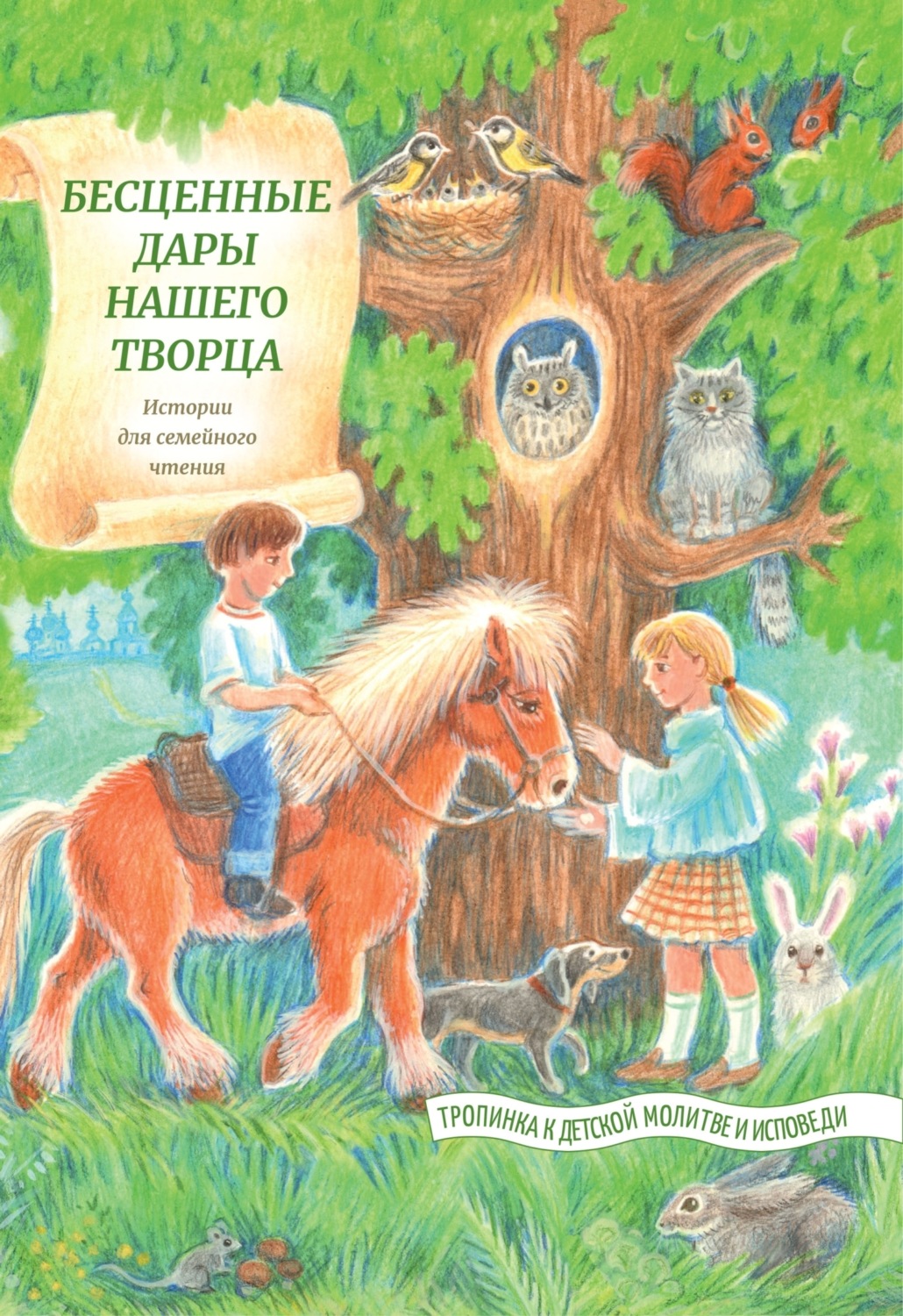 Обложка книги «Бесценные дары нашего Творца»