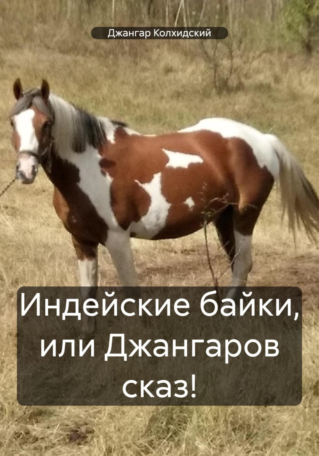 Обложка книги «Индейские байки, или Джангаров сказ!»