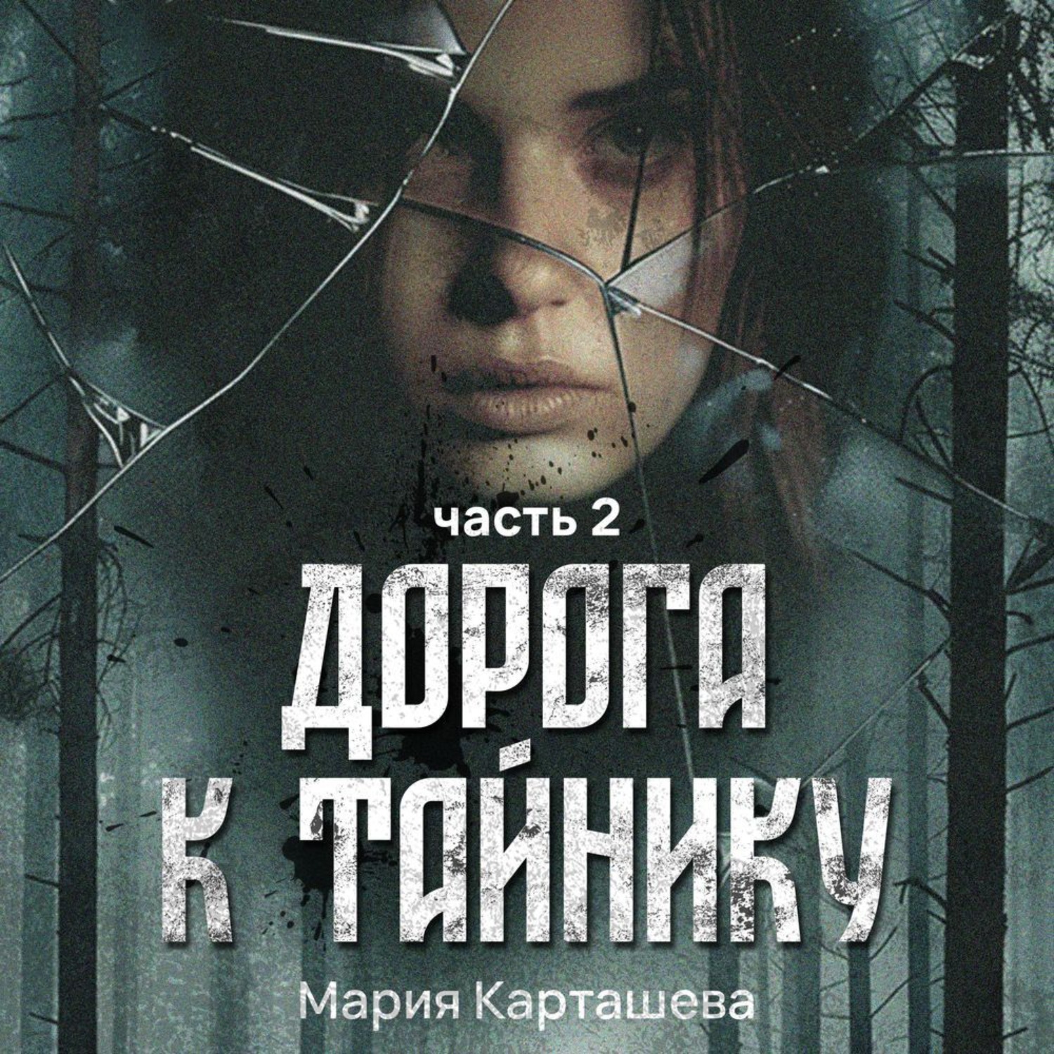 Обложка книги «Дорога к ТАЙНИКУ. Часть 2»