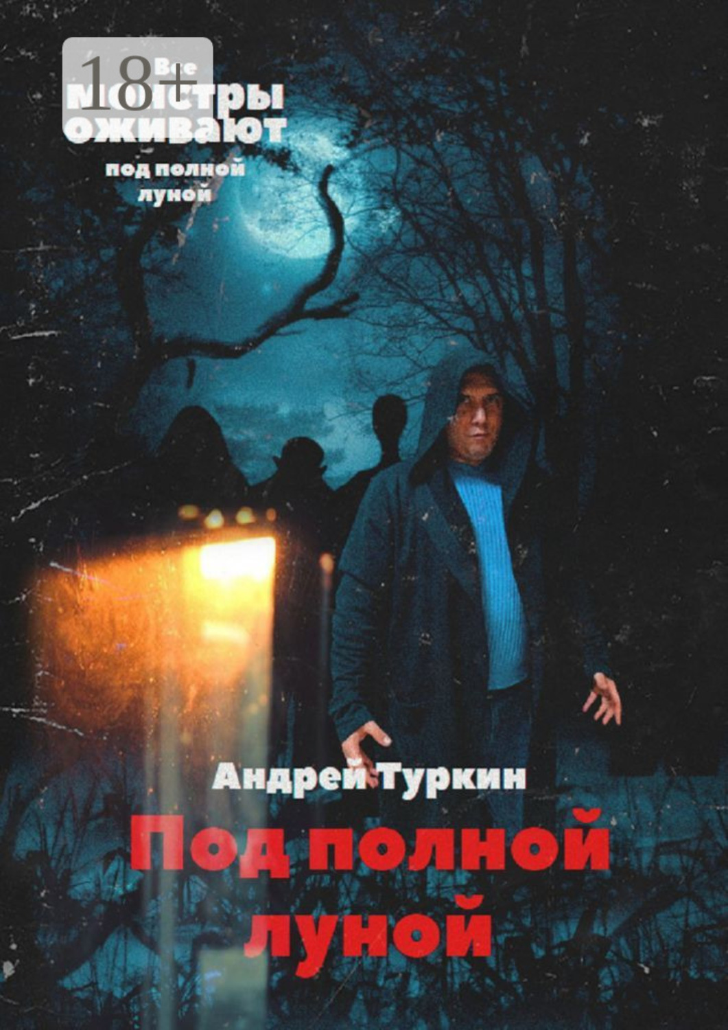 Обложка книги «Под полной луной»