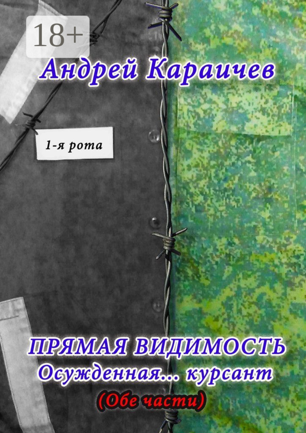 Обложка книги «Прямая видимость. Осужденная… курсант»